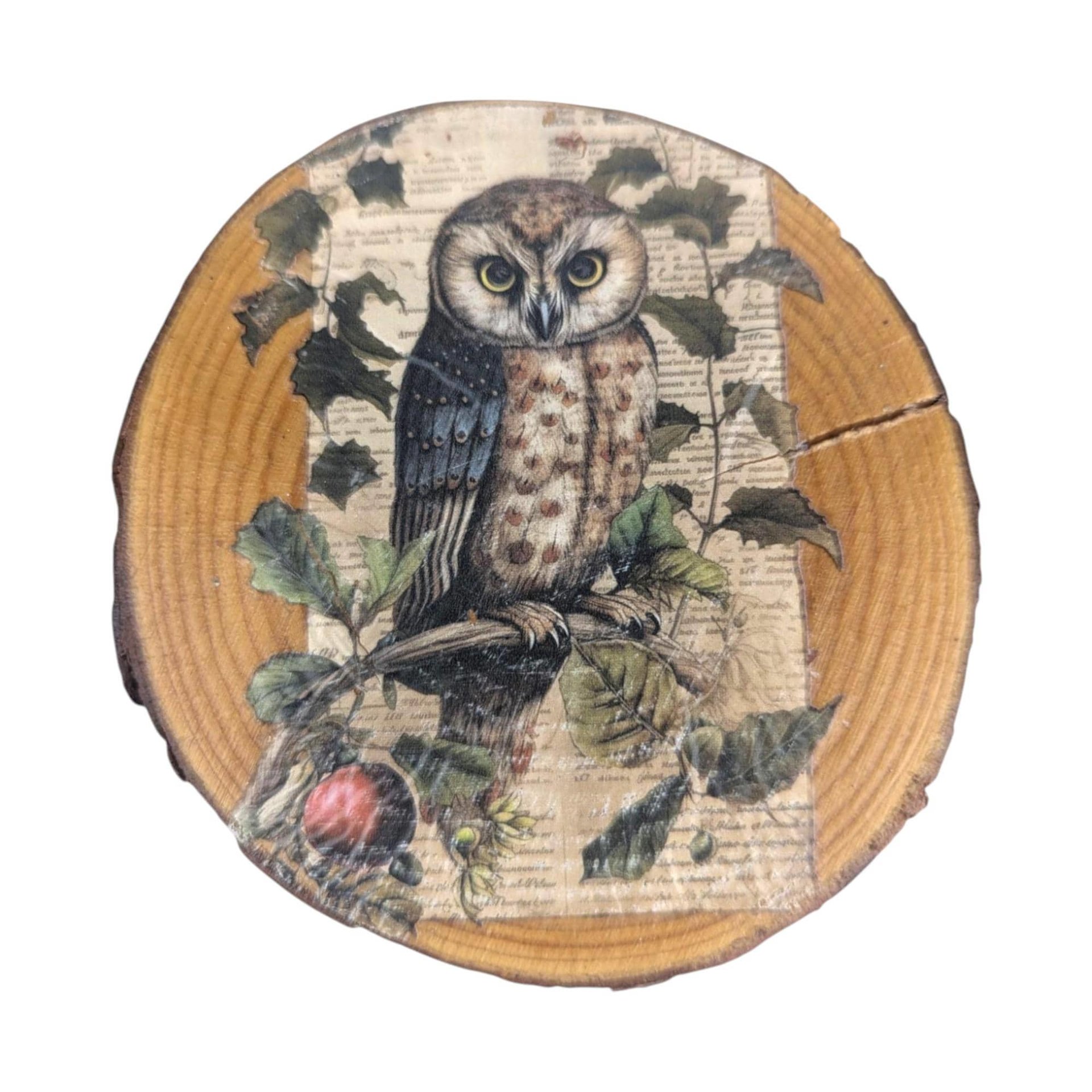Vintage Wood Slice Coasters (Set of 6): Nature Fairy & Bird Designs