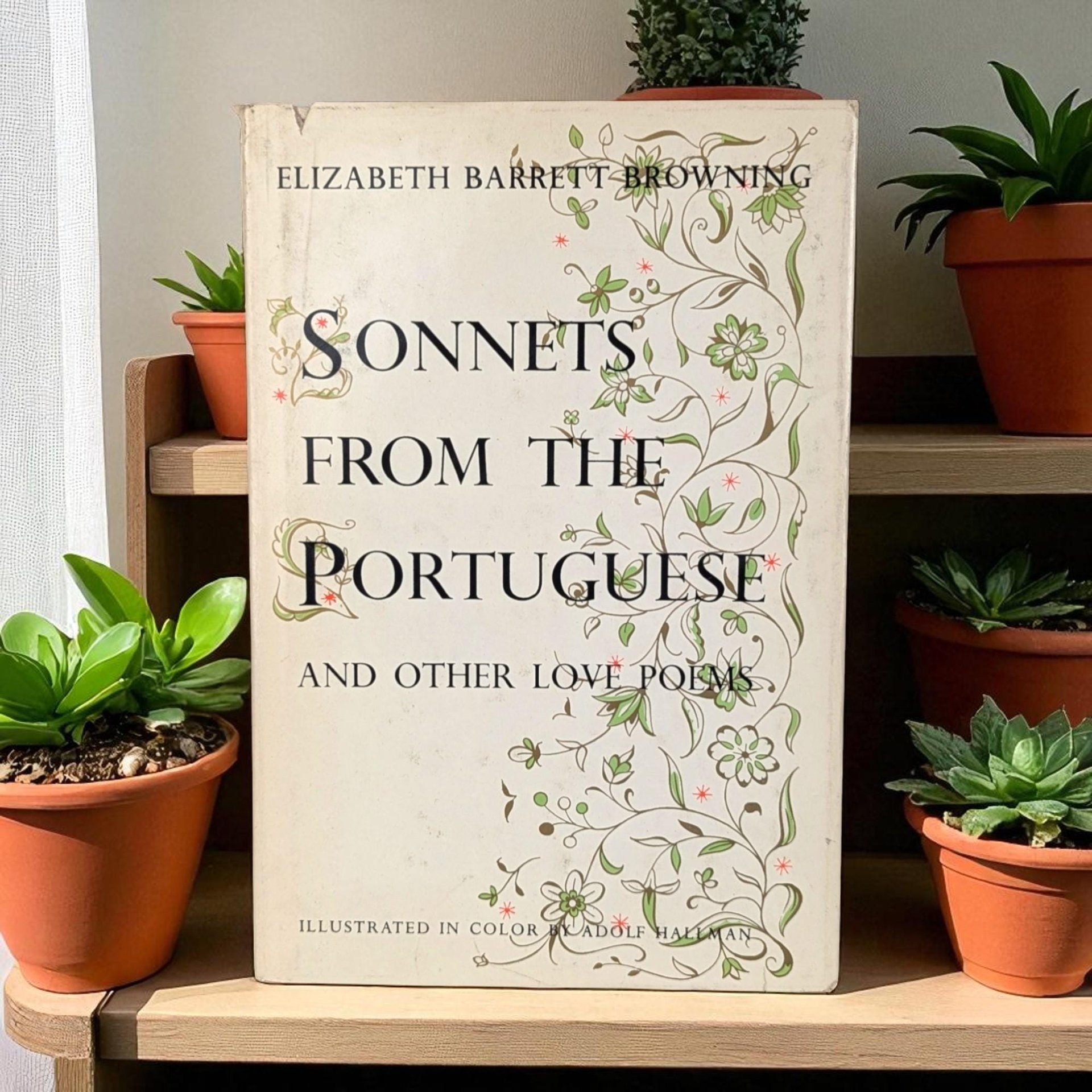 1954 Sonnets from the Portuguese: Illustrated Love Poems, Collectible Hardcover