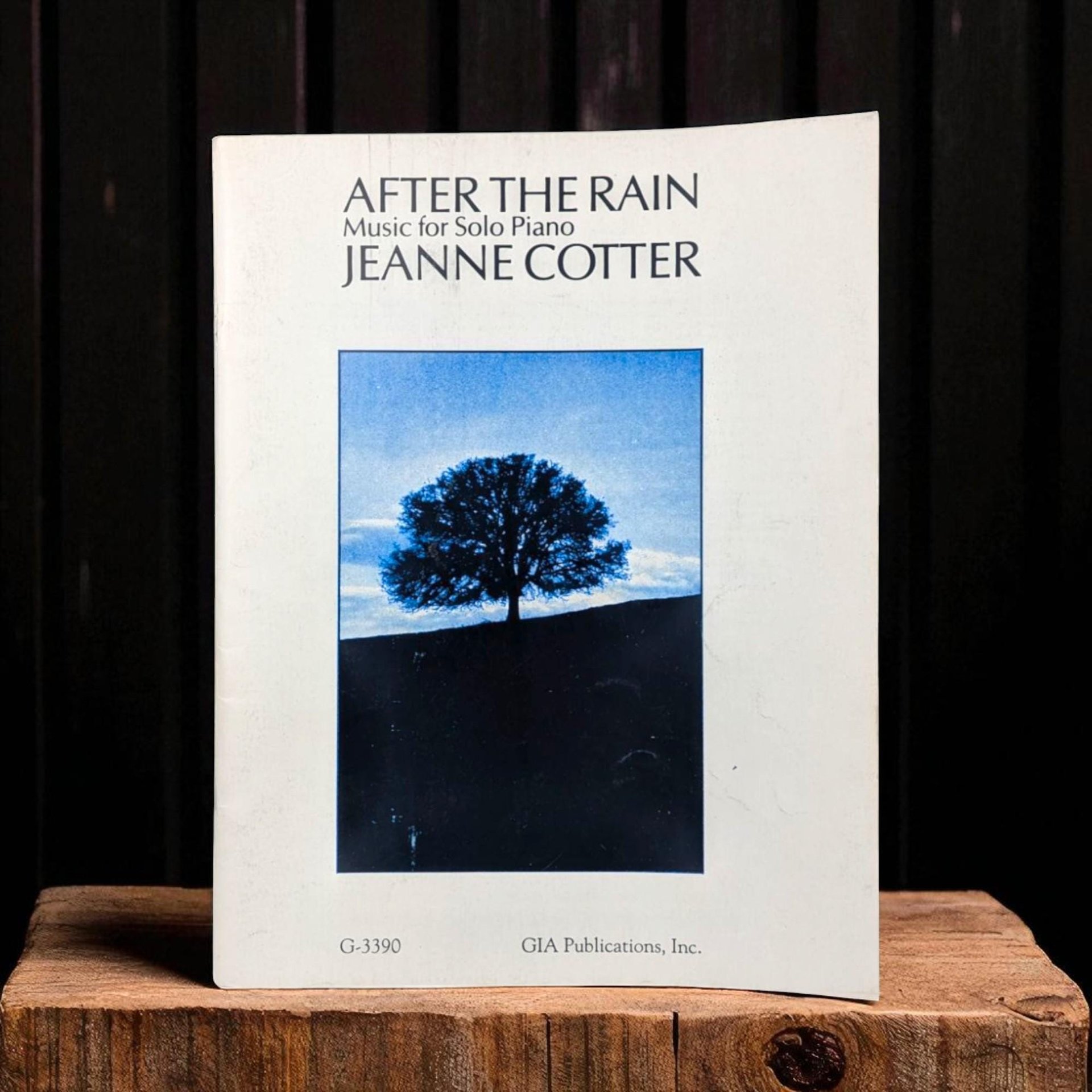 Jeanne Cotter "After the Rain" Piano Book: Vintage 1990 Solo Sheet Music for Pianists