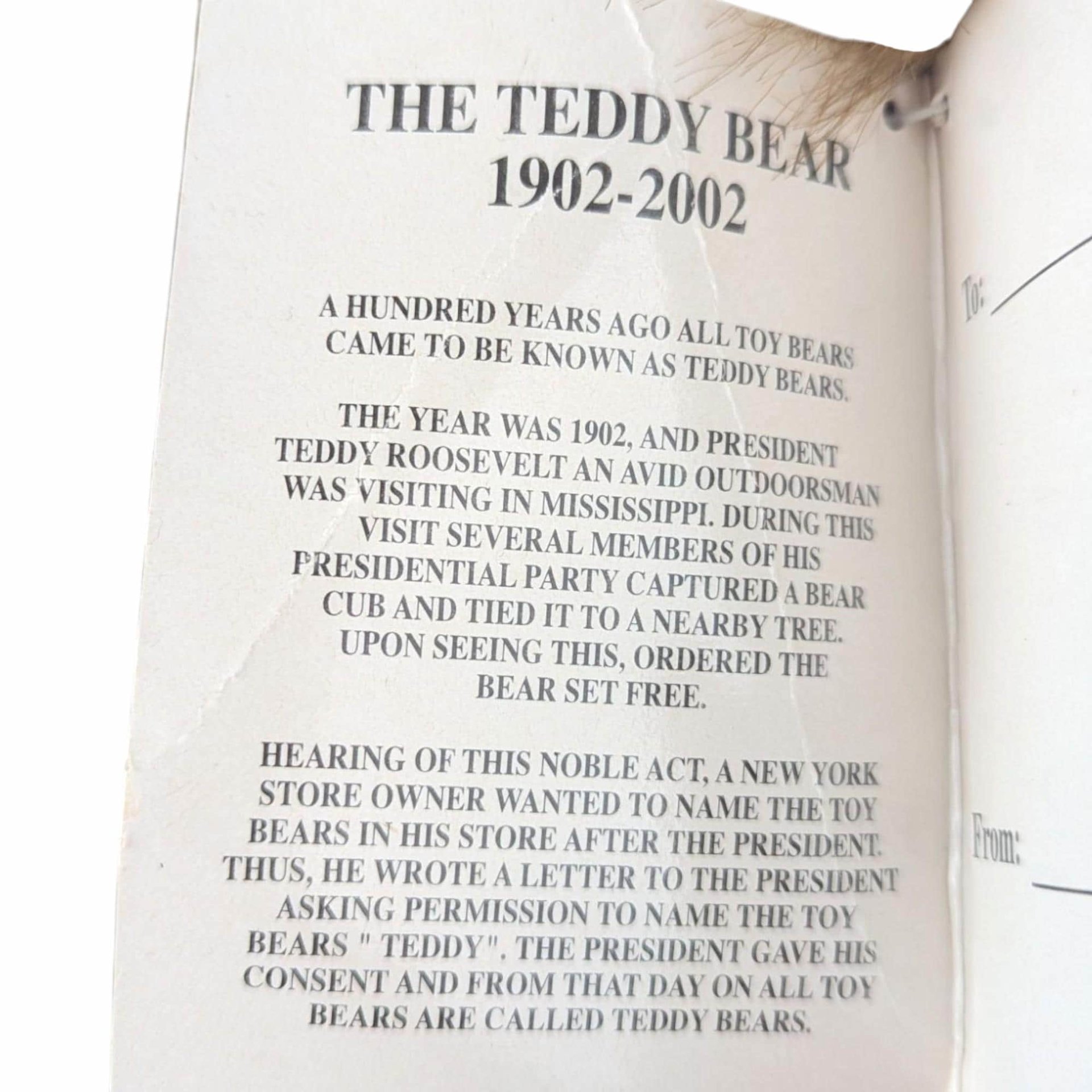 Vintage 2002 Talking Teddy Bear Plush: Dandee 100th Anniversary Collector's Edition
