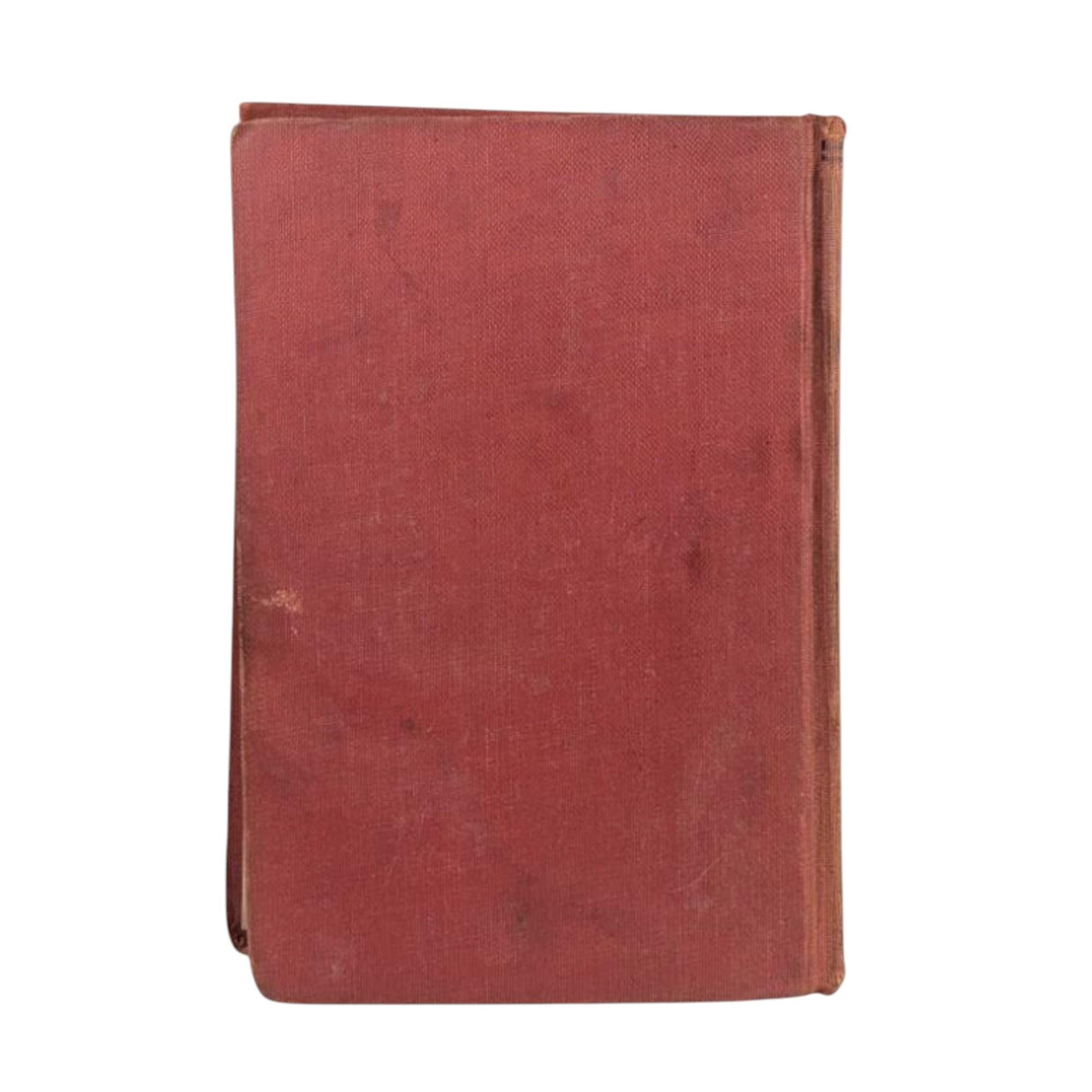 Antique 19th Century Novel: Wife in Name Only by Bertha M. Clay