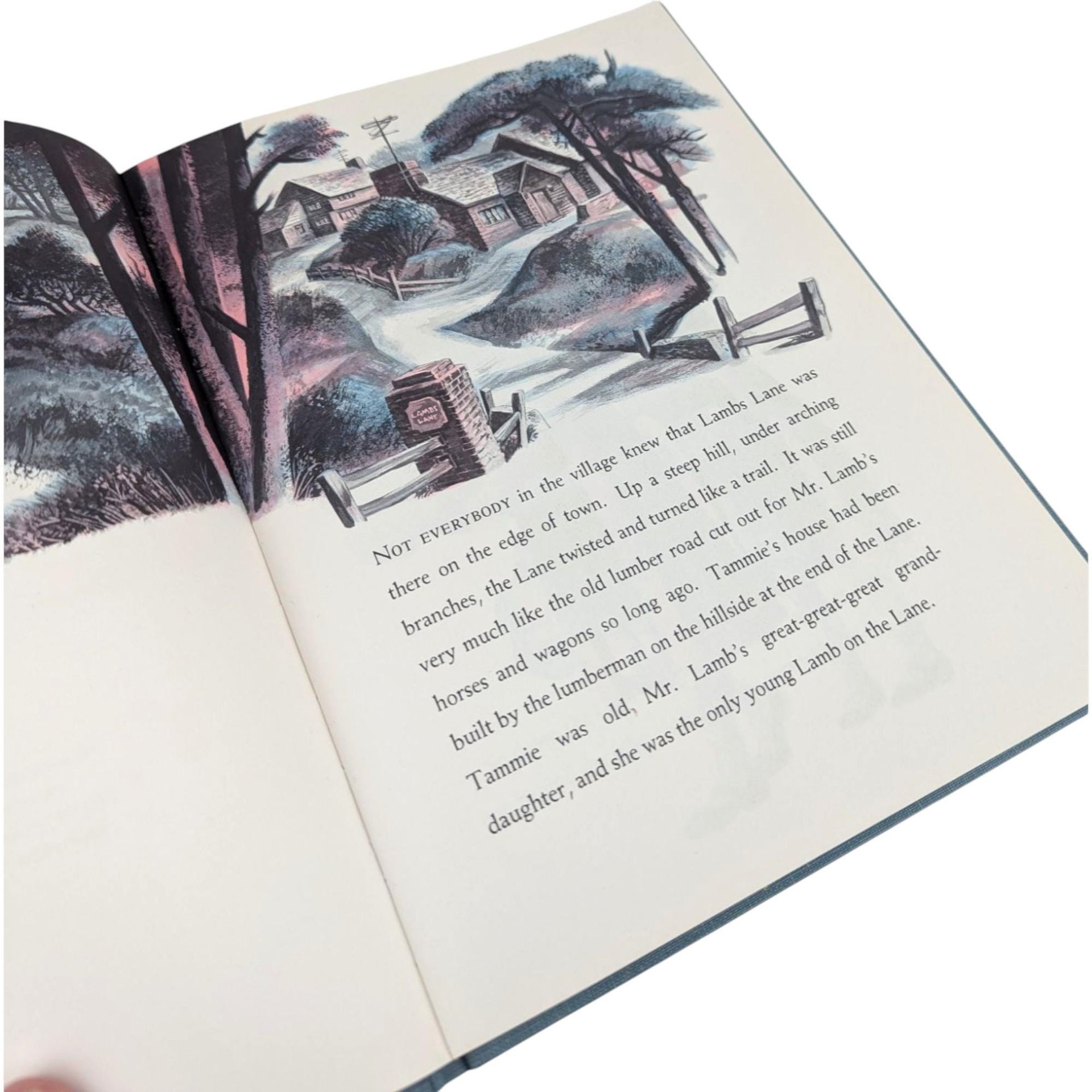 1967 The Wolf of Lambs Lane: Vintage Children's Book with Lynd Ward Illustrations