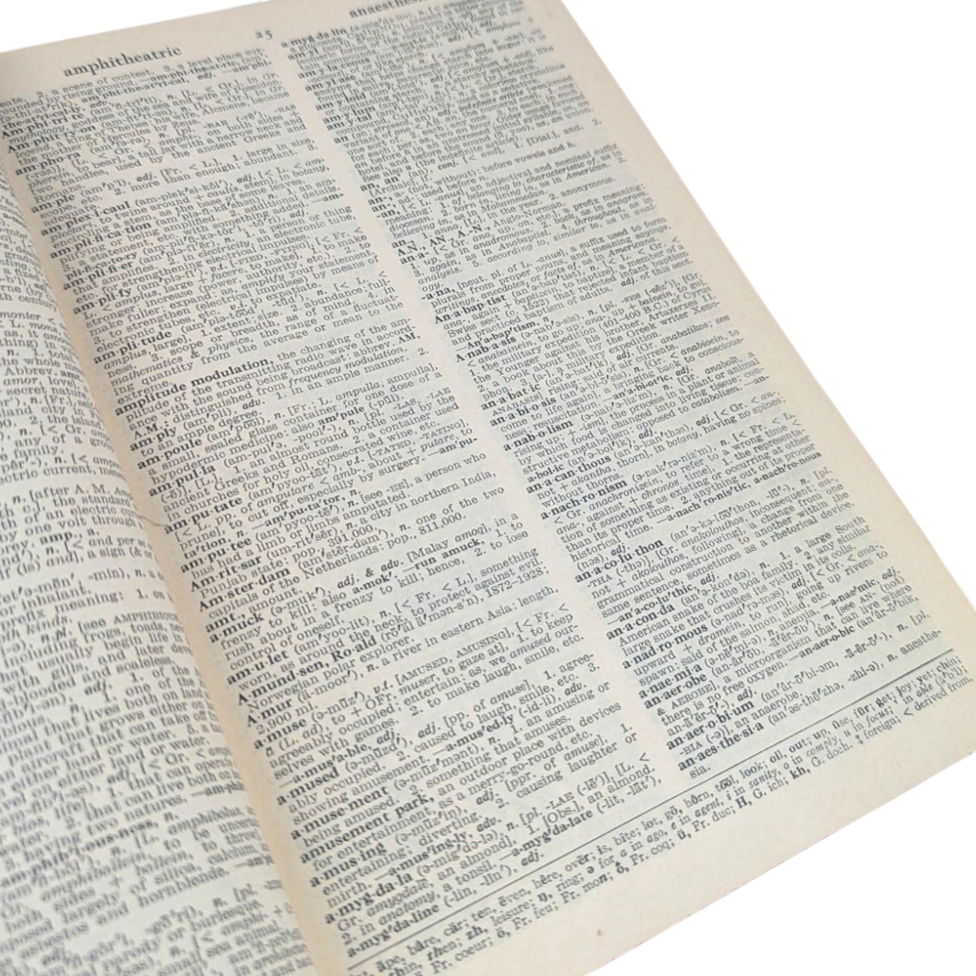 1959 Webster's Dictionary: Vintage Mid-Century Hardcover Reference Book