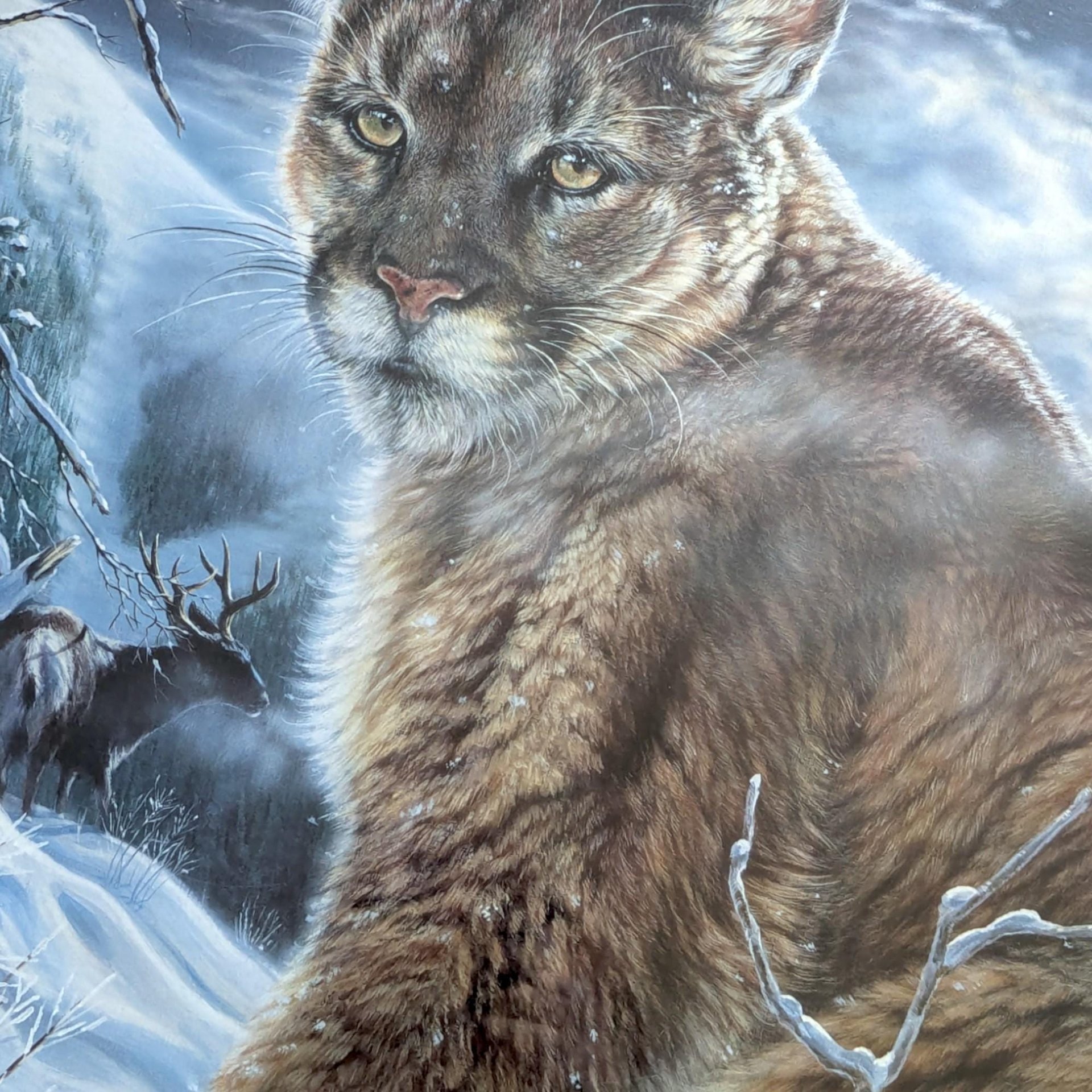 Vintage Large Jack Crandall The Night Shift Signed and Numbered Print, Framed Cougar Art, Limited Edition Wildlife Art, Mountain Lion Wall