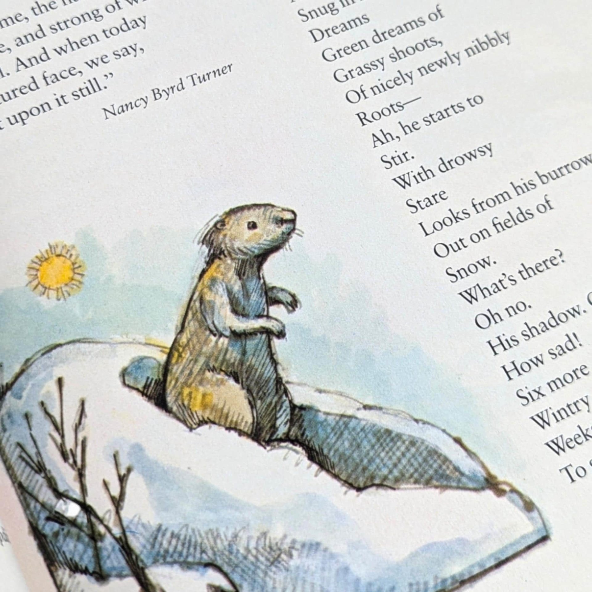 Vintage 1983 Children's Poetry Book: Random House, Illustrated by Arnold Lobel