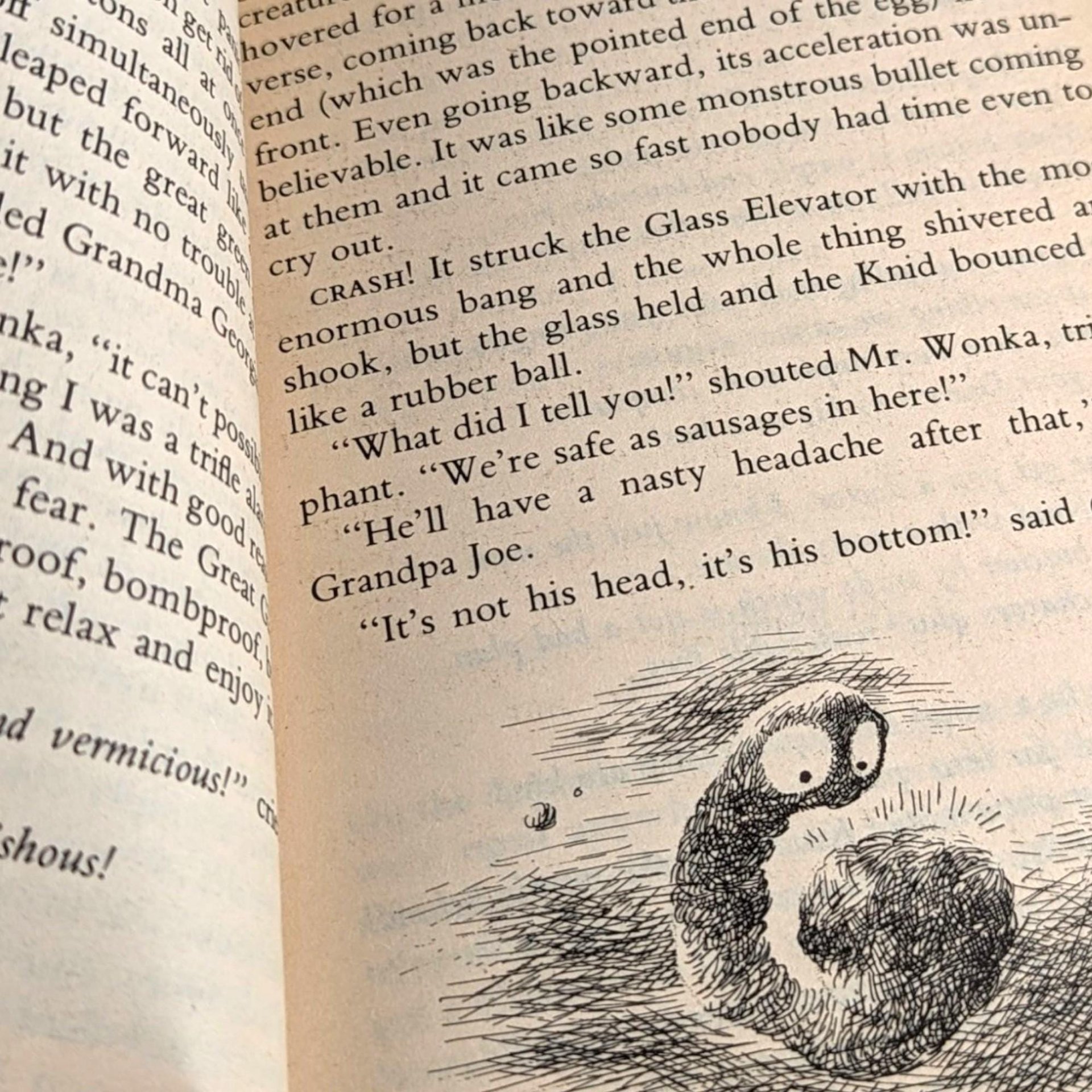 Vintage Charlie and the Great Glass Elevator: 1972 Roald Dahl Paperback, Illustrated Children's Book