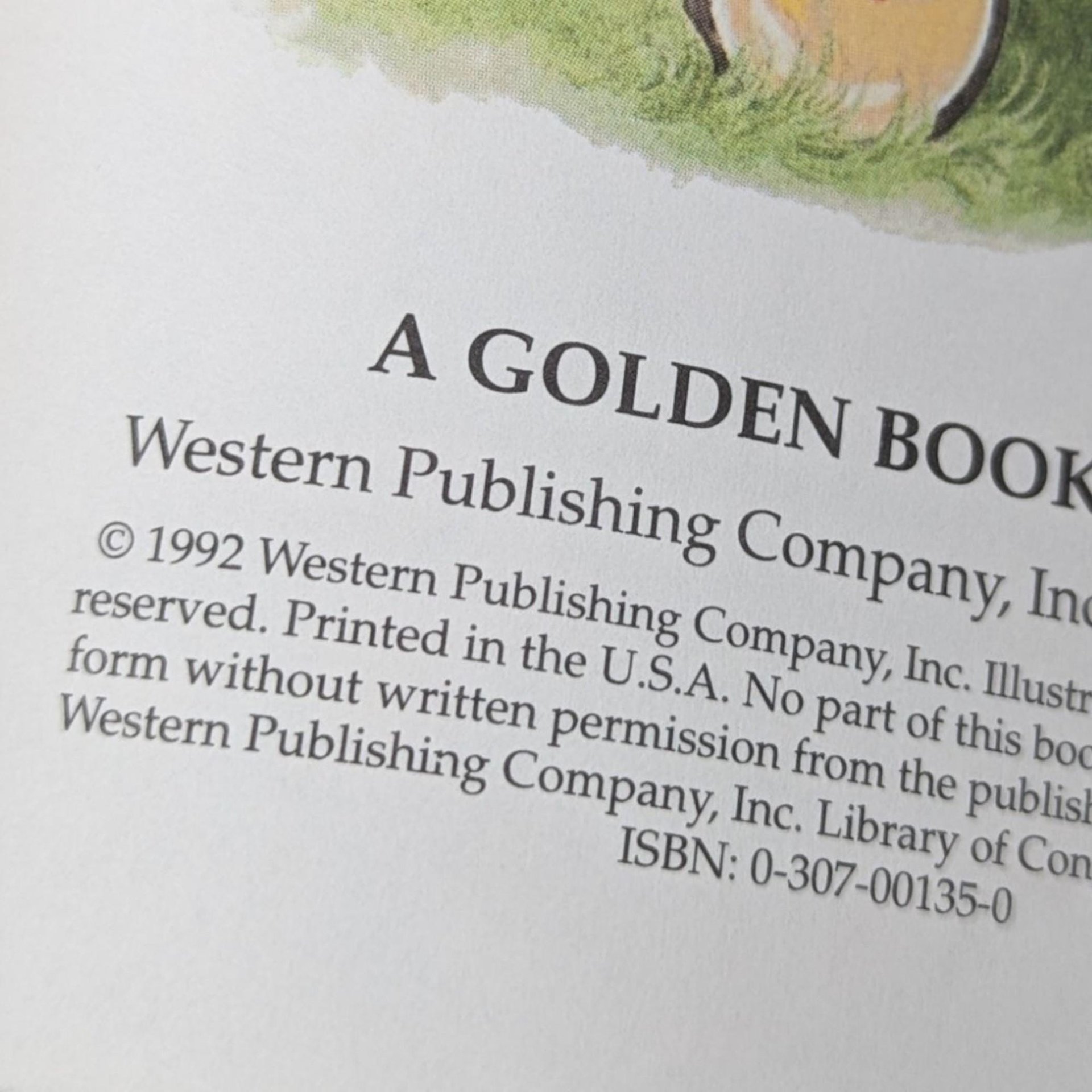 Vintage Rabbit Little Golden Book Lot: Classic Children's Storybook Collection