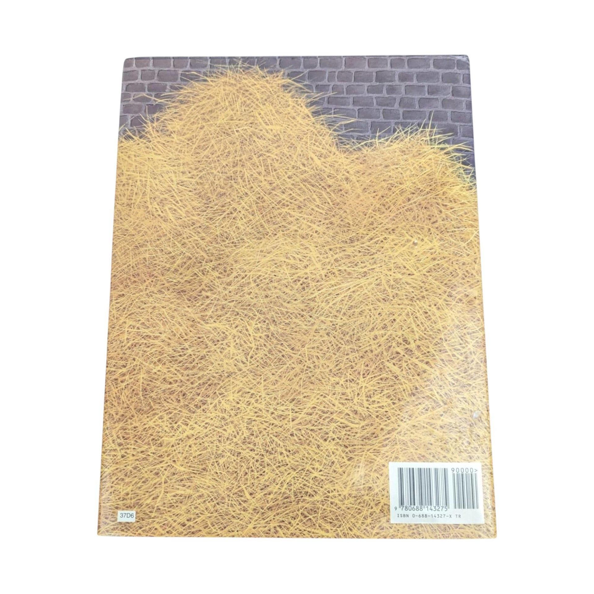 Rumpelstiltskin's Daughter Book: 1997 Diane Stanley Hardcover, Fairytale Illustration