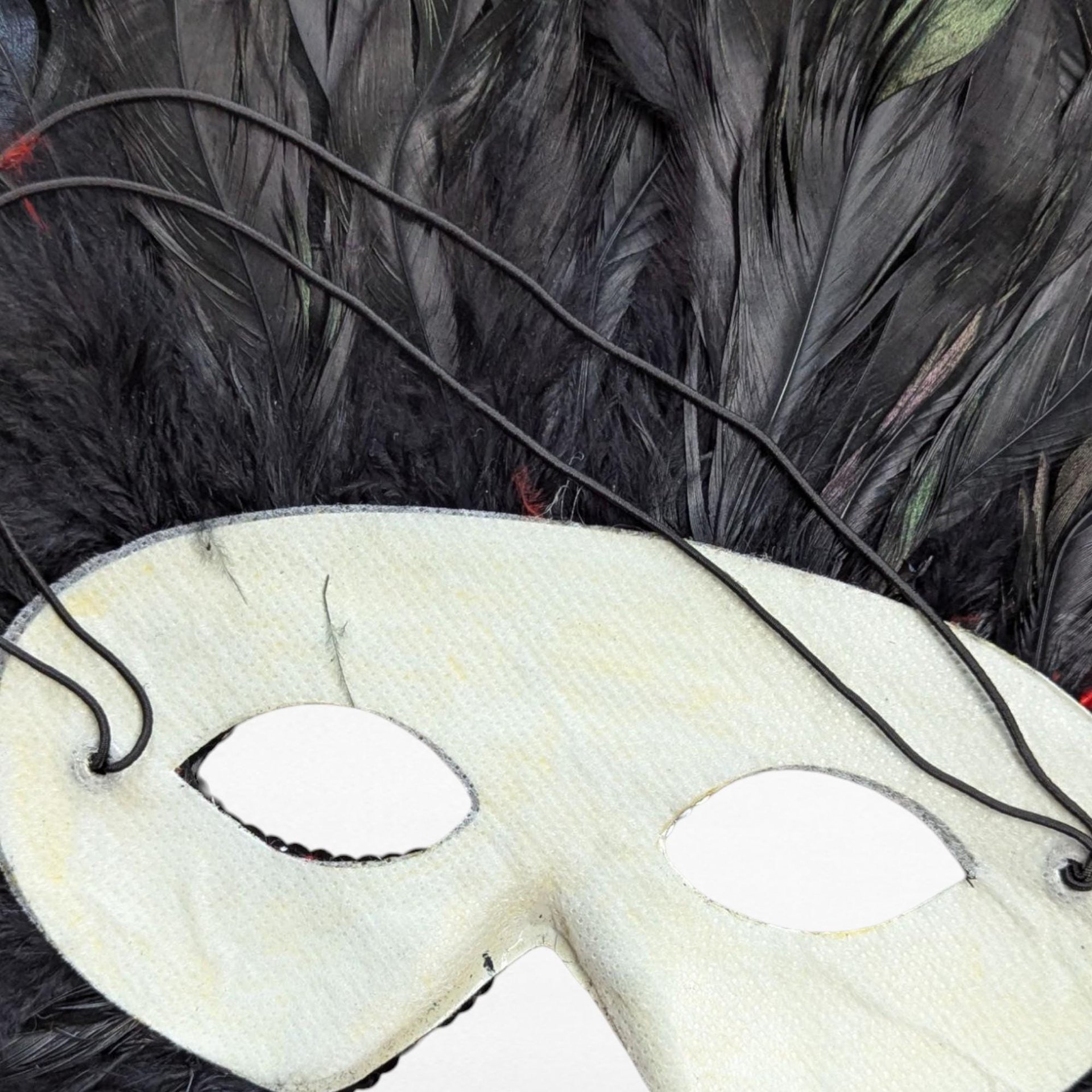 Vintage Feather Mardi Gras Mask: Black & Red Masquerade Wall Decor