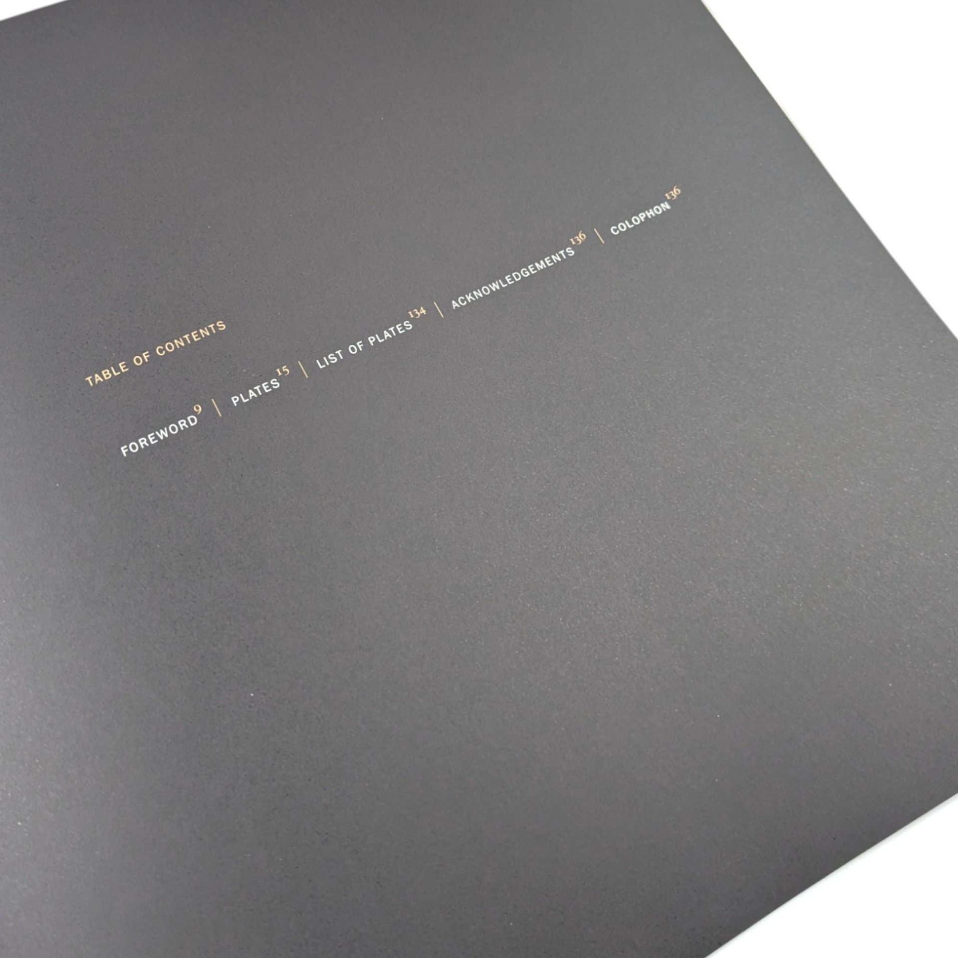 Vintage 1999 Chicago Churches Photo Essay: Elizabeth Johnson Architecture Book