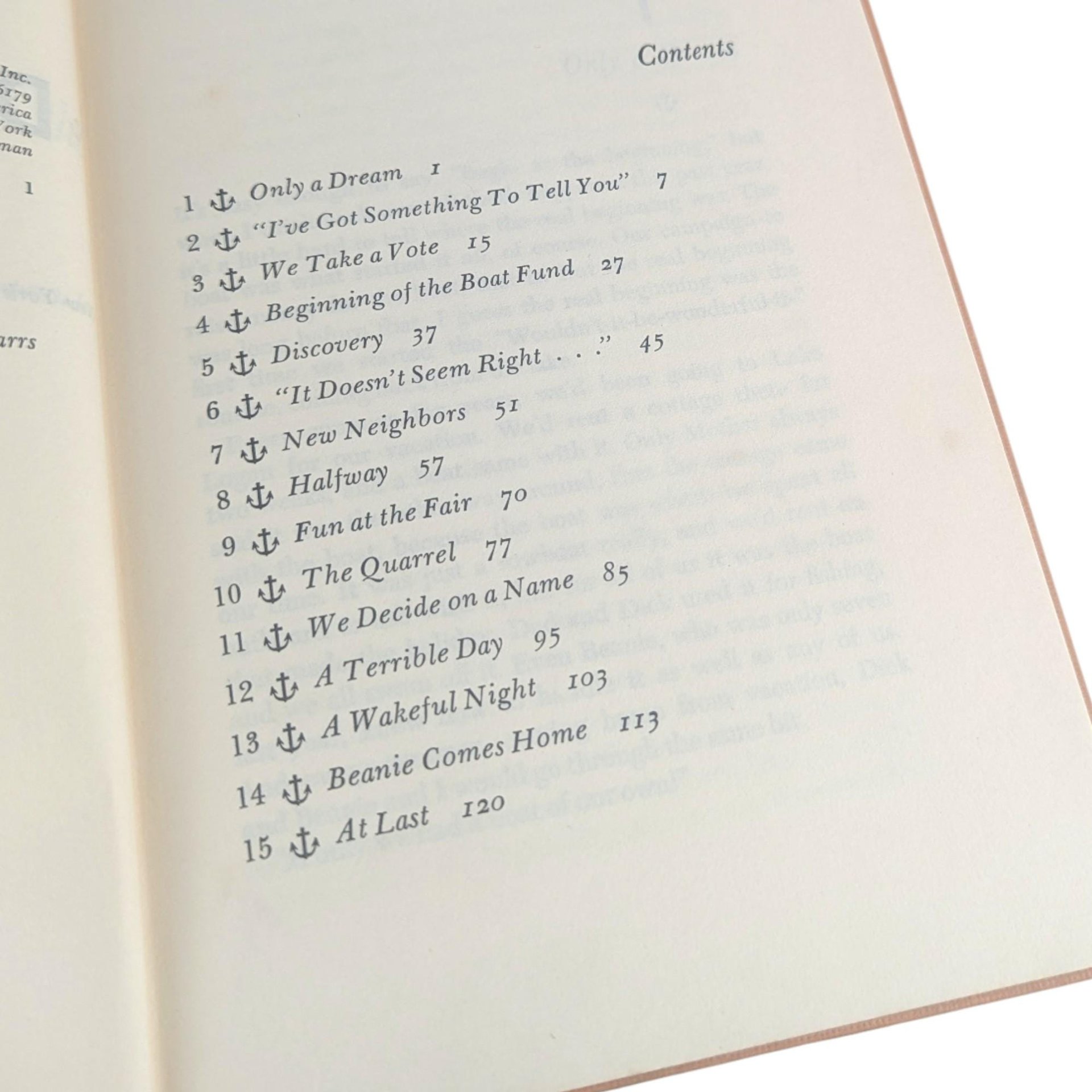 Vintage 1962 The Year of the Dream: Jane Collier Childrens Chapter Book