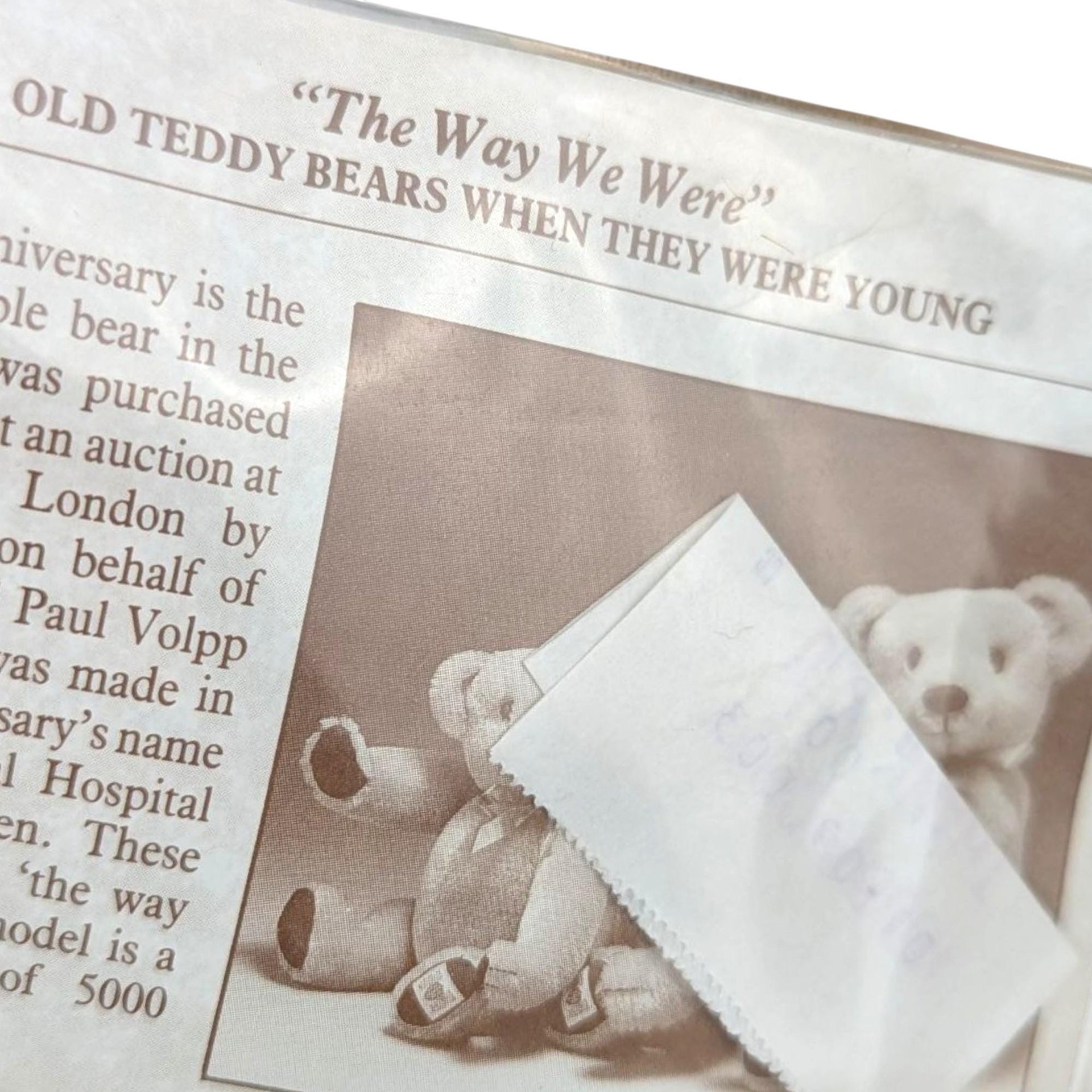 Vintage 1990 House of Nisbet Teddy Bear: "The Way We Were" Limited Edition