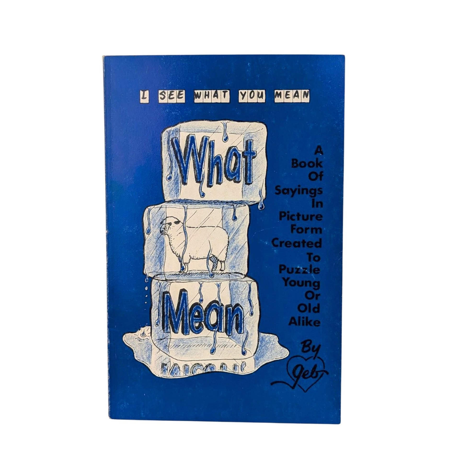 Vintage 1979 Signed Puzzle Book: "I See What You Mean" by Richard Gebhardt