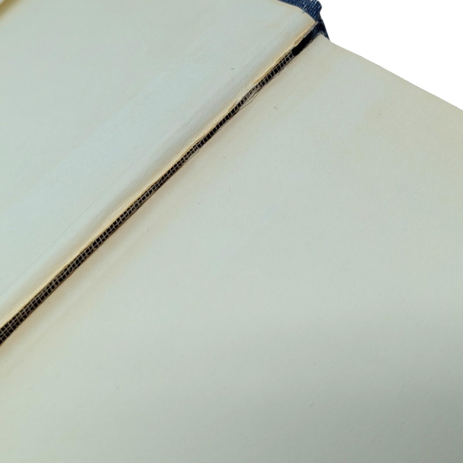 Vintage 1958 Viking Book of Poetry: Richard Aldington Hardcover