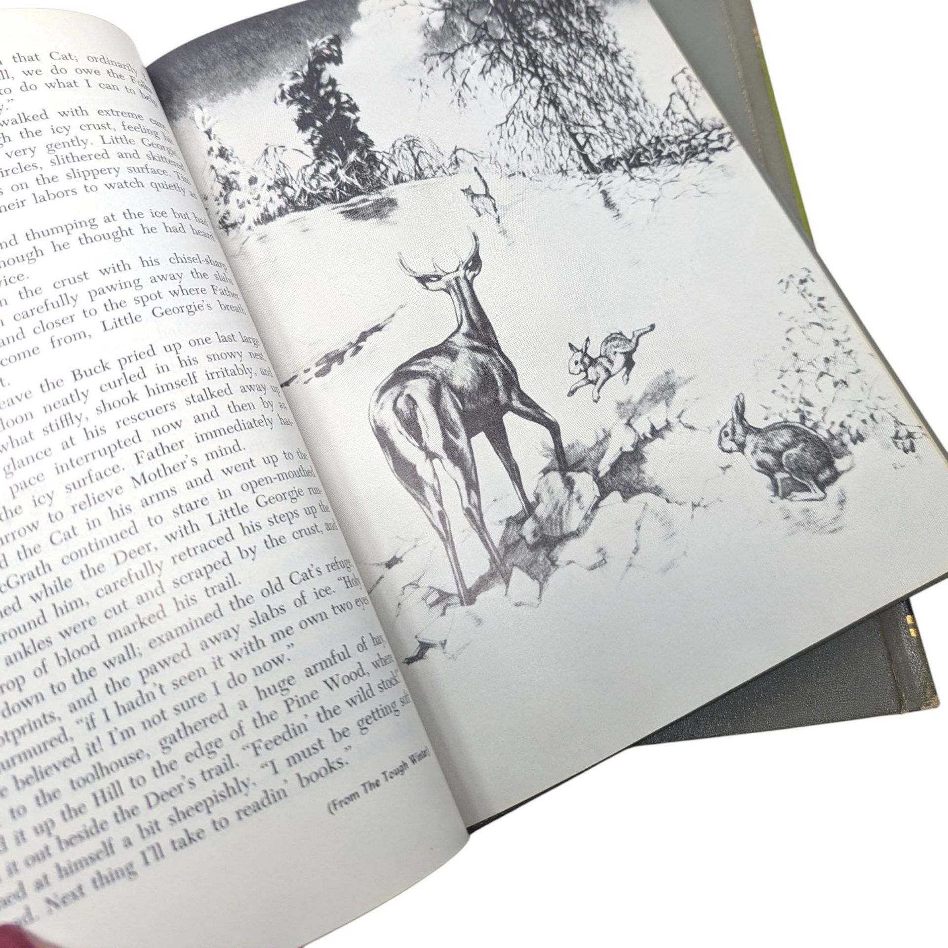 Vintage 1965 Childcraft Book Set: Poems, Stories, and Make & Do Lot