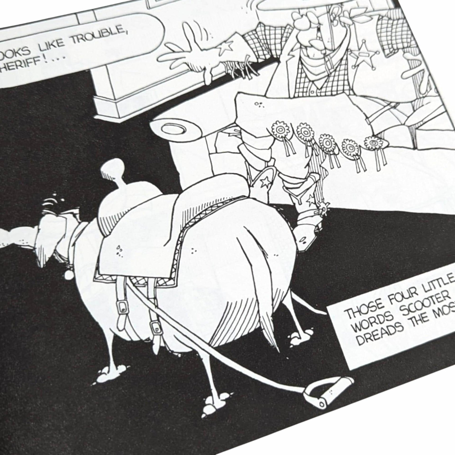 1998 Ballard Street Cartoon Book: Signed by Jerry Van Amerongen