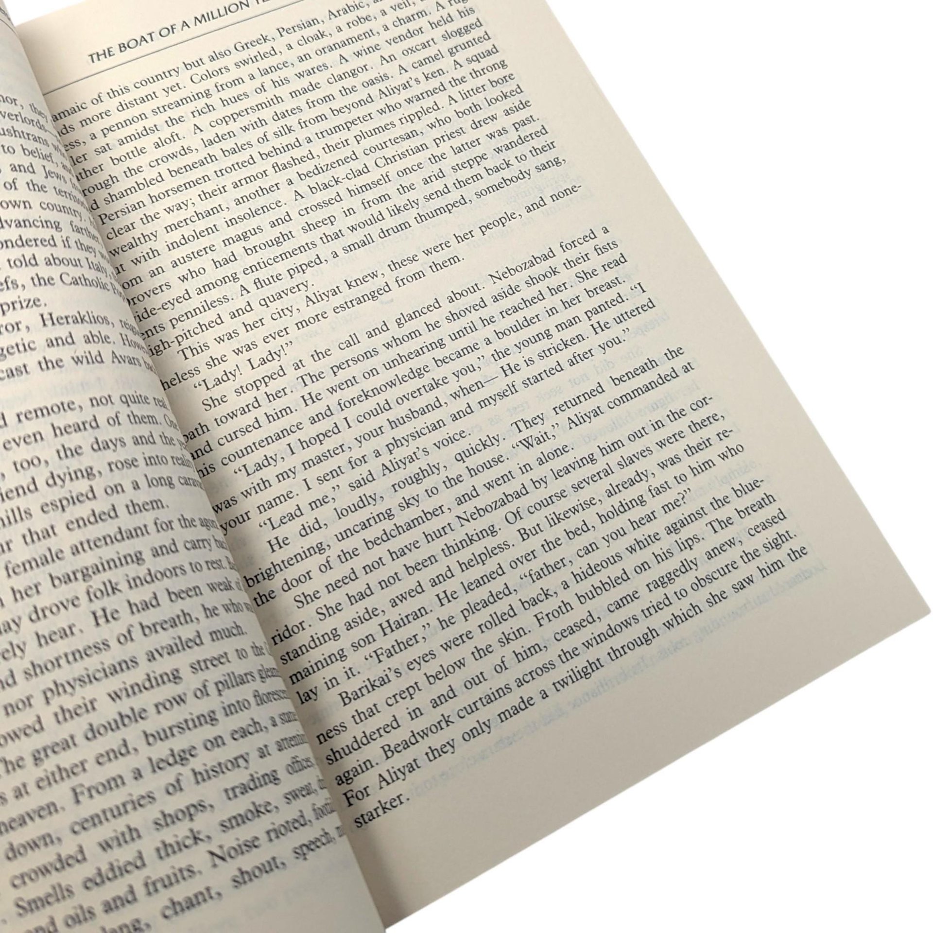 Vintage 1989 The Boat of a Million Years Paperback: Poul Anderson