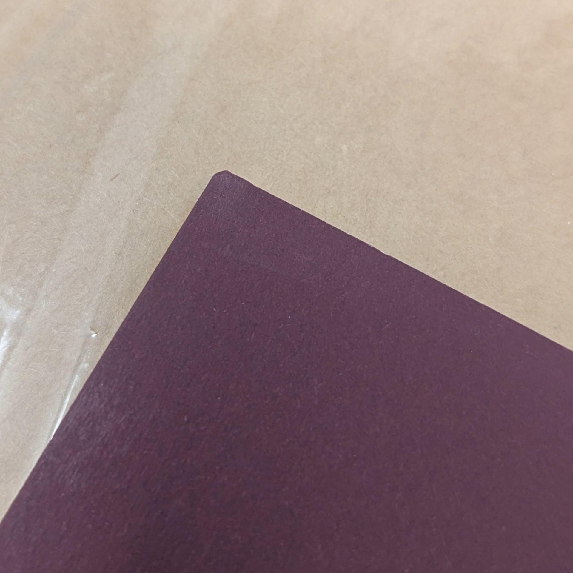 Vintage Thomas Kinkade Lamplight Manor Matted Print: Painter of Light Cottage Art