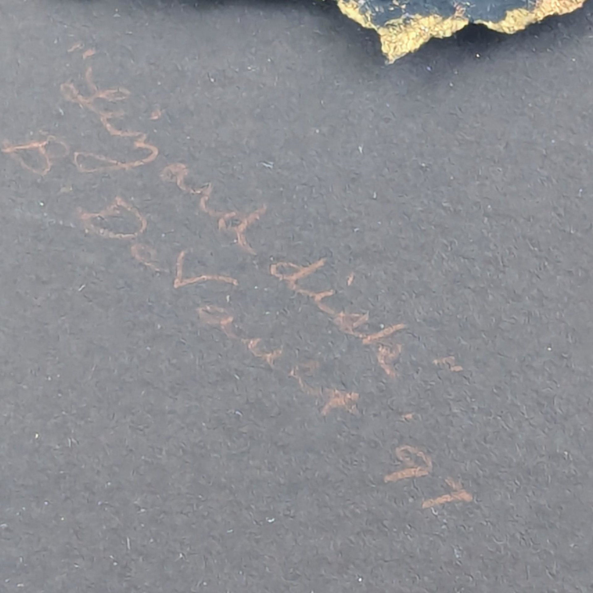 1997 Barbara DeVault Mixed Media Art: 'Lingard Disk' Framed Original