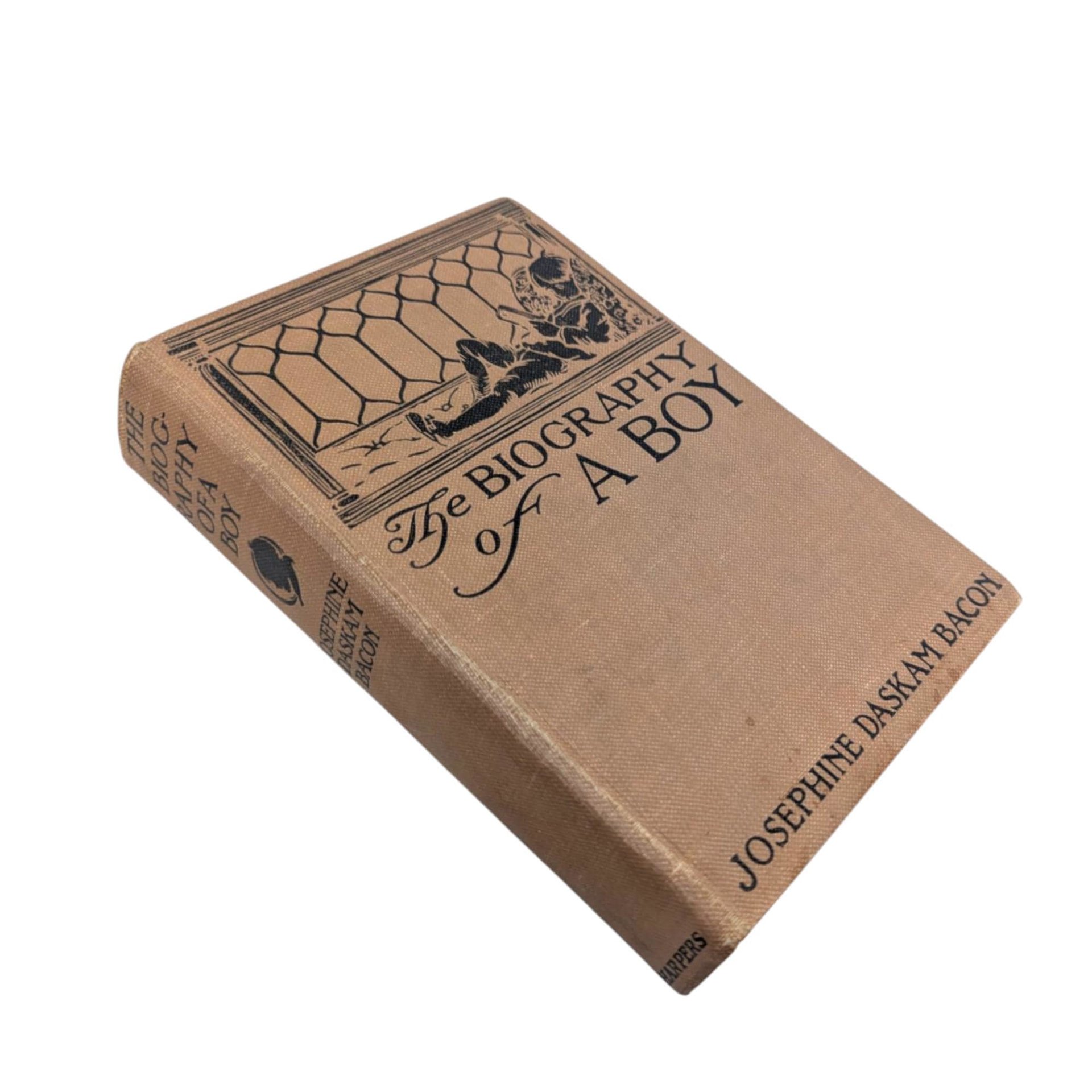 1910 The Biography of a Boy Hardcover, Josephine Daskam Bacon