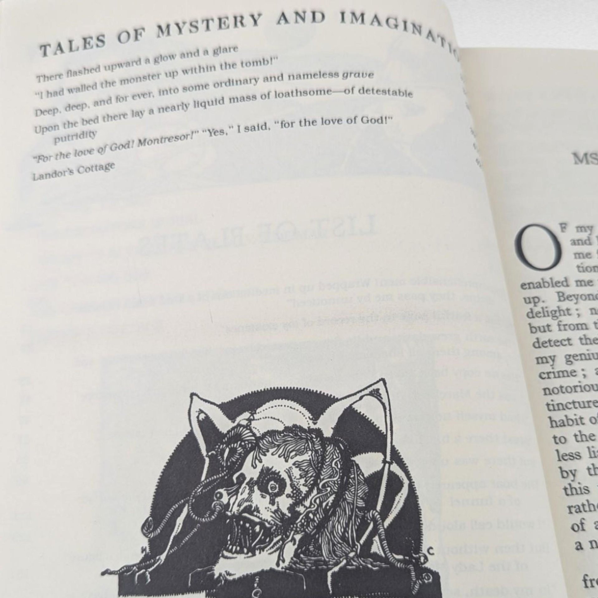 Vintage Tales of Mystery and Imagination: Edgar Allan Poe Hardcover