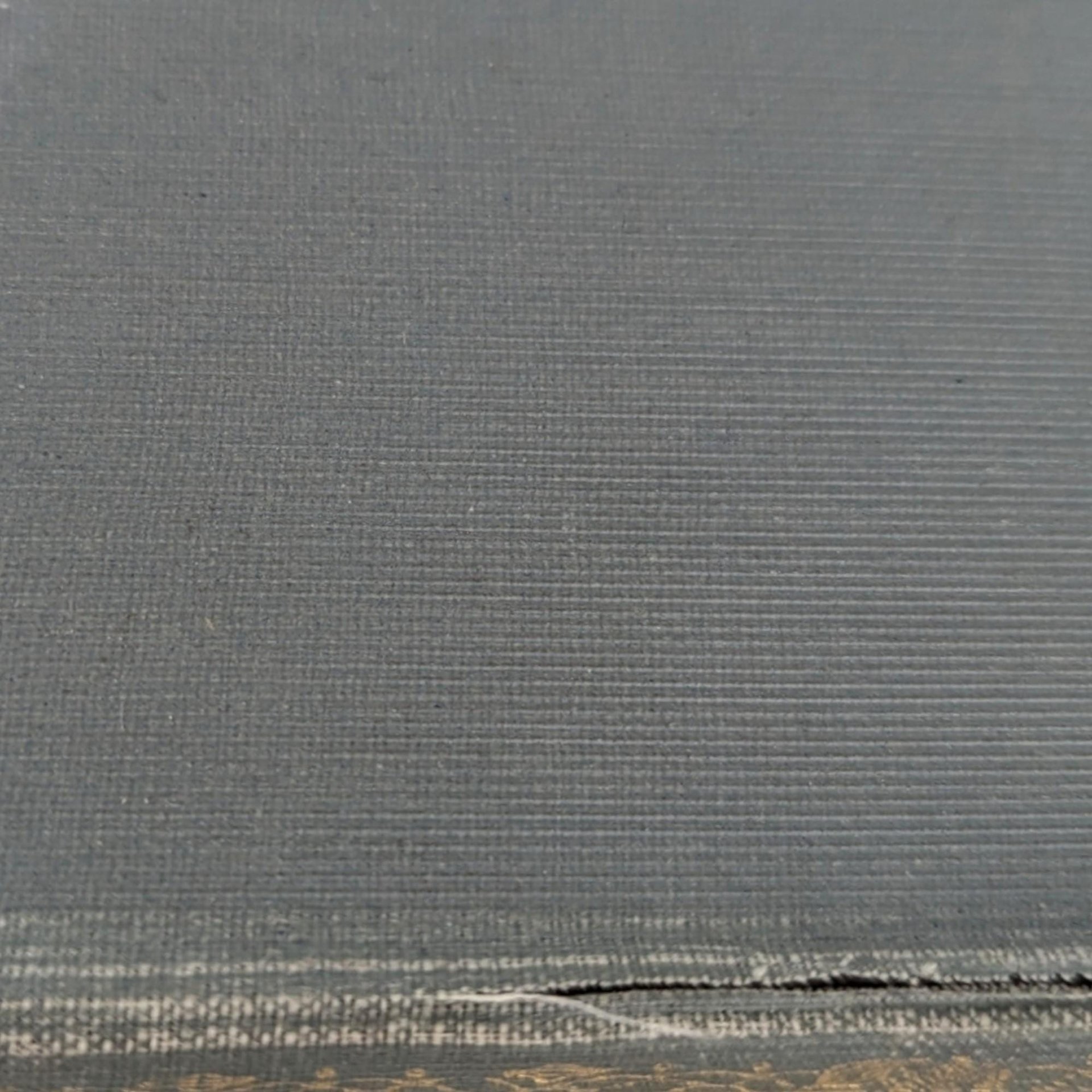 1904 Life of Robert Browning Hardcover: Edward Dowden