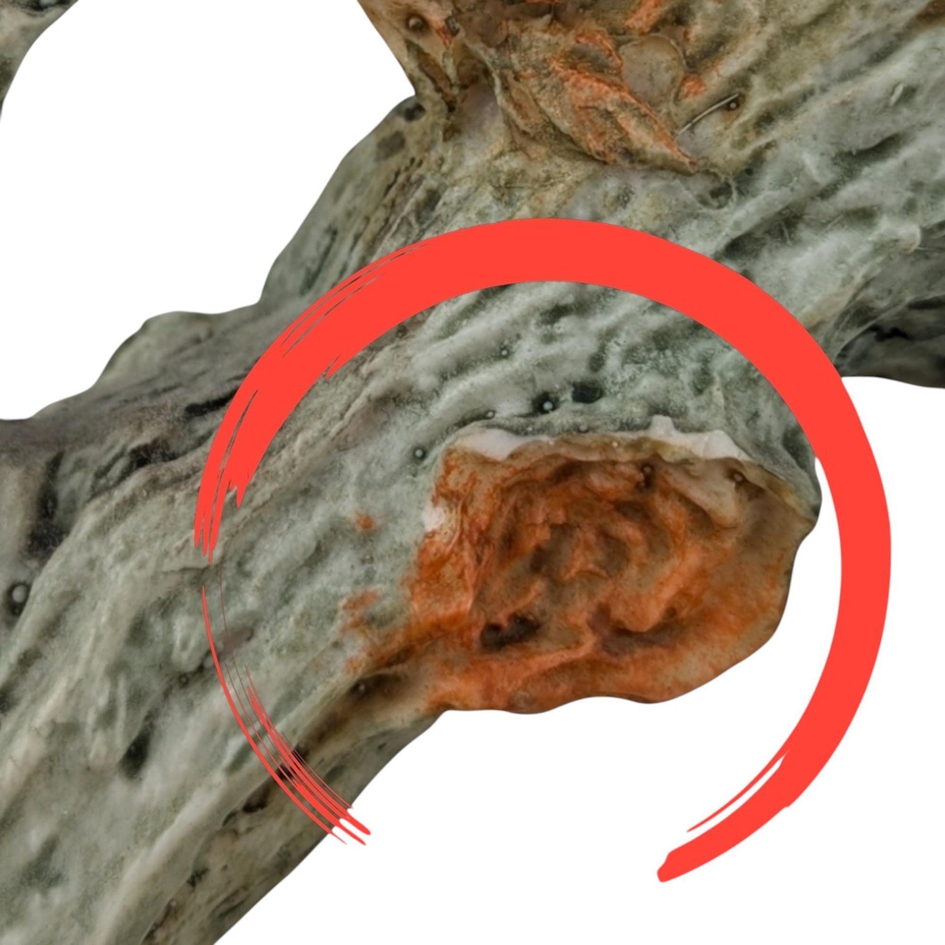 Giuseppe Armani Gulliver's World Children on Swing Figurine