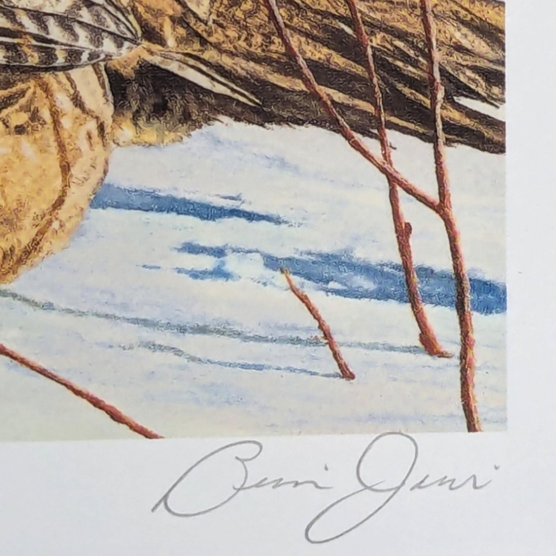 1987 Minnesota Pheasant Habitat Stamp Print (Signed & Framed Brian Jarvi)