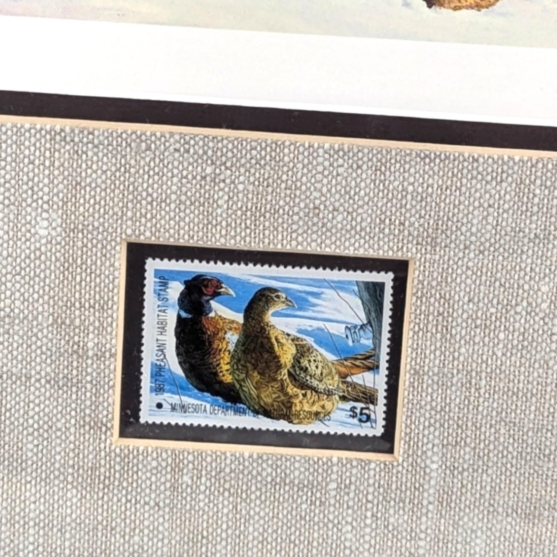 1987 Minnesota Pheasant Habitat Stamp Print (Signed & Framed Brian Jarvi)