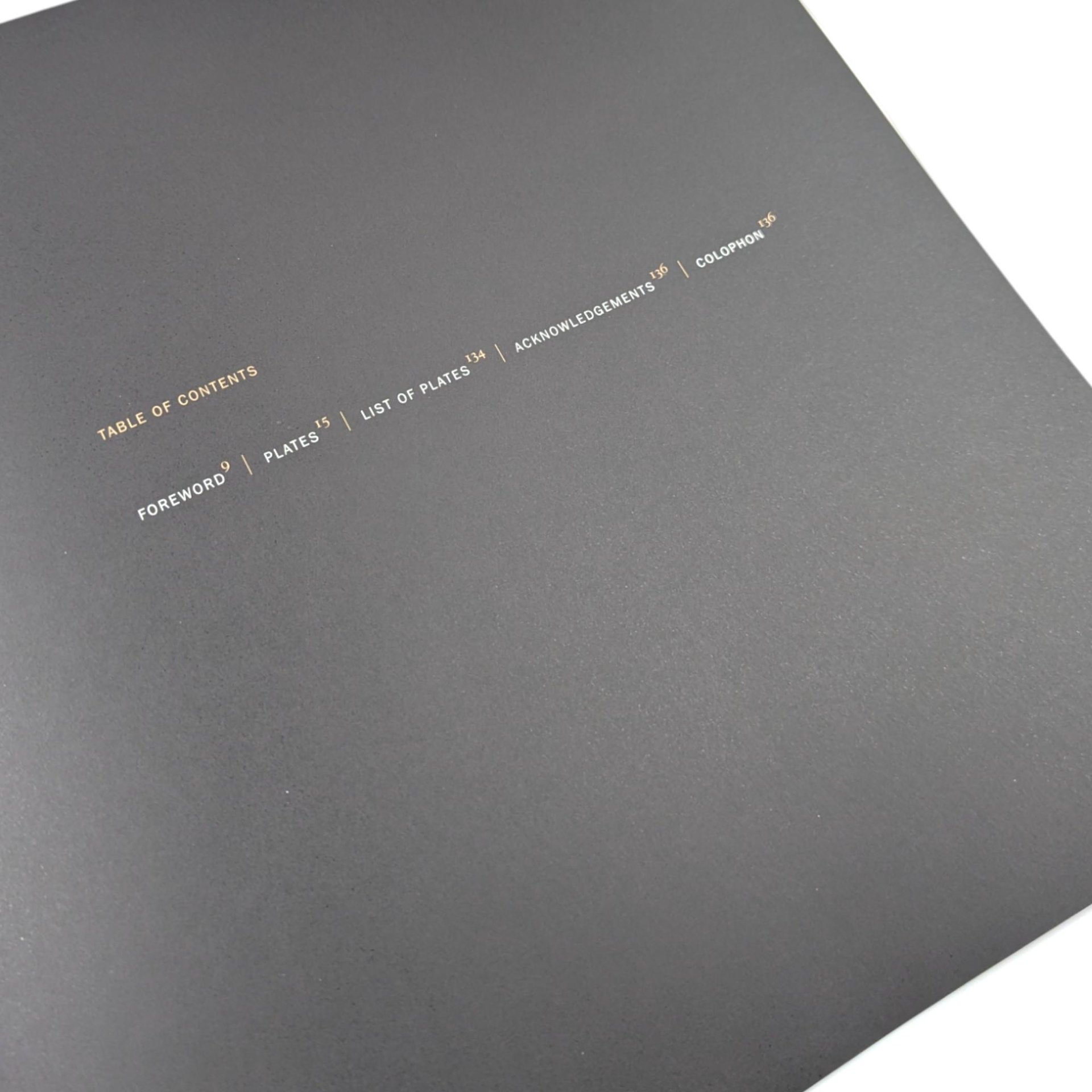 1999 Chicago Churches: A Photographic Essay