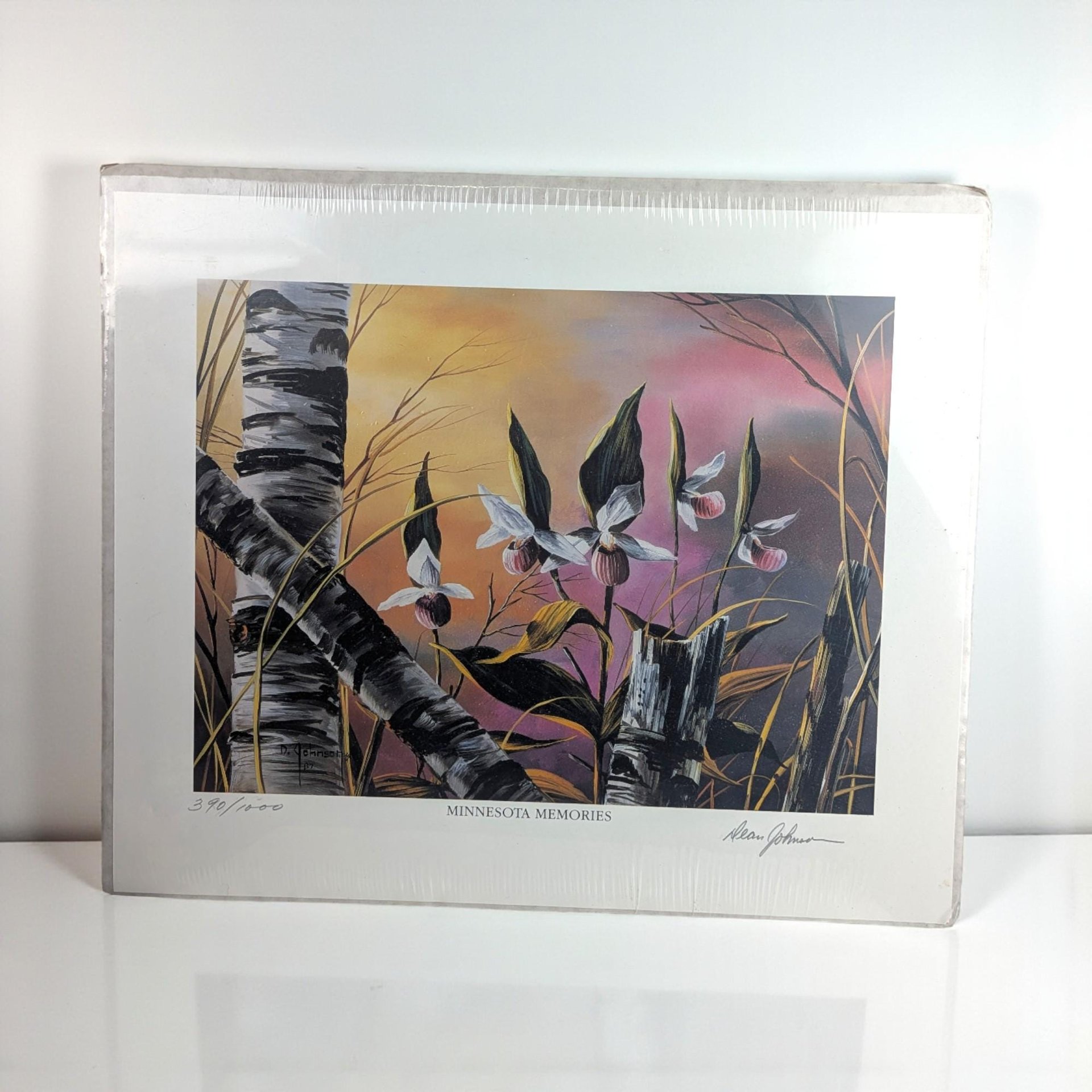 Vintage Dean Johnson Minnesota Memories Numbered Print
