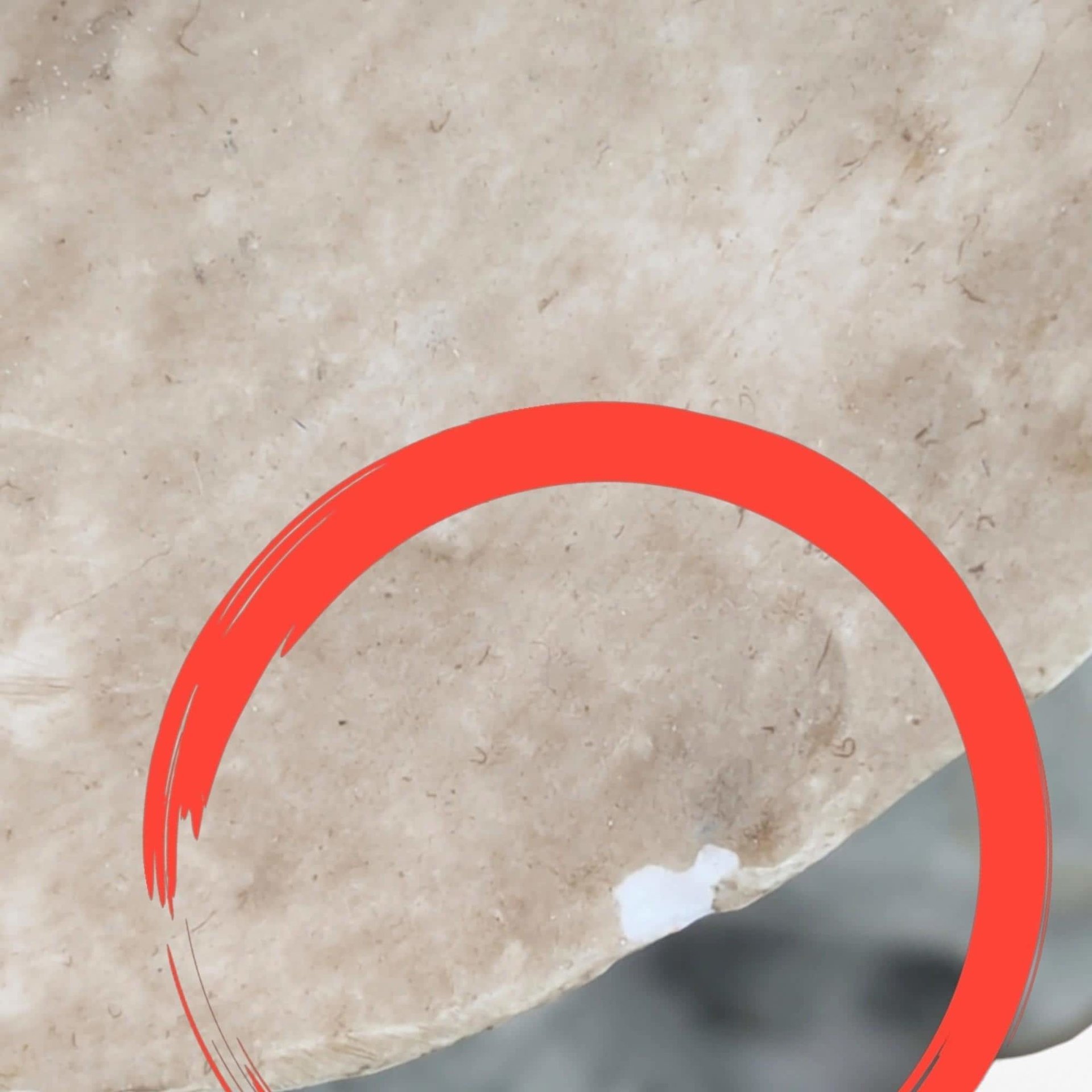 Vintage Giuseppe Armani Gulliver's World Cowgirl with Calf Figurine