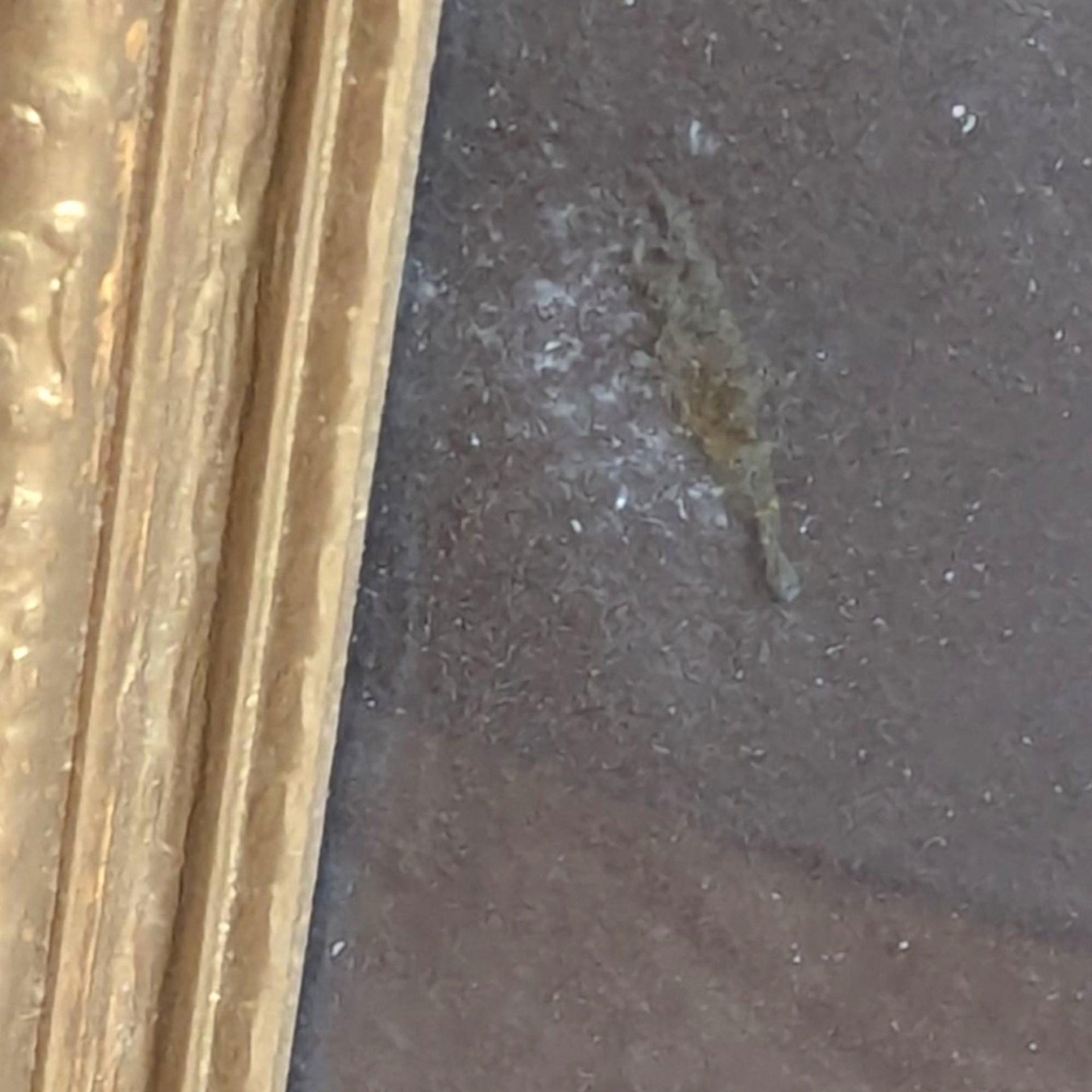 Vintage Egyptian Papyrus Painting: King Tut and Ankhesenamun