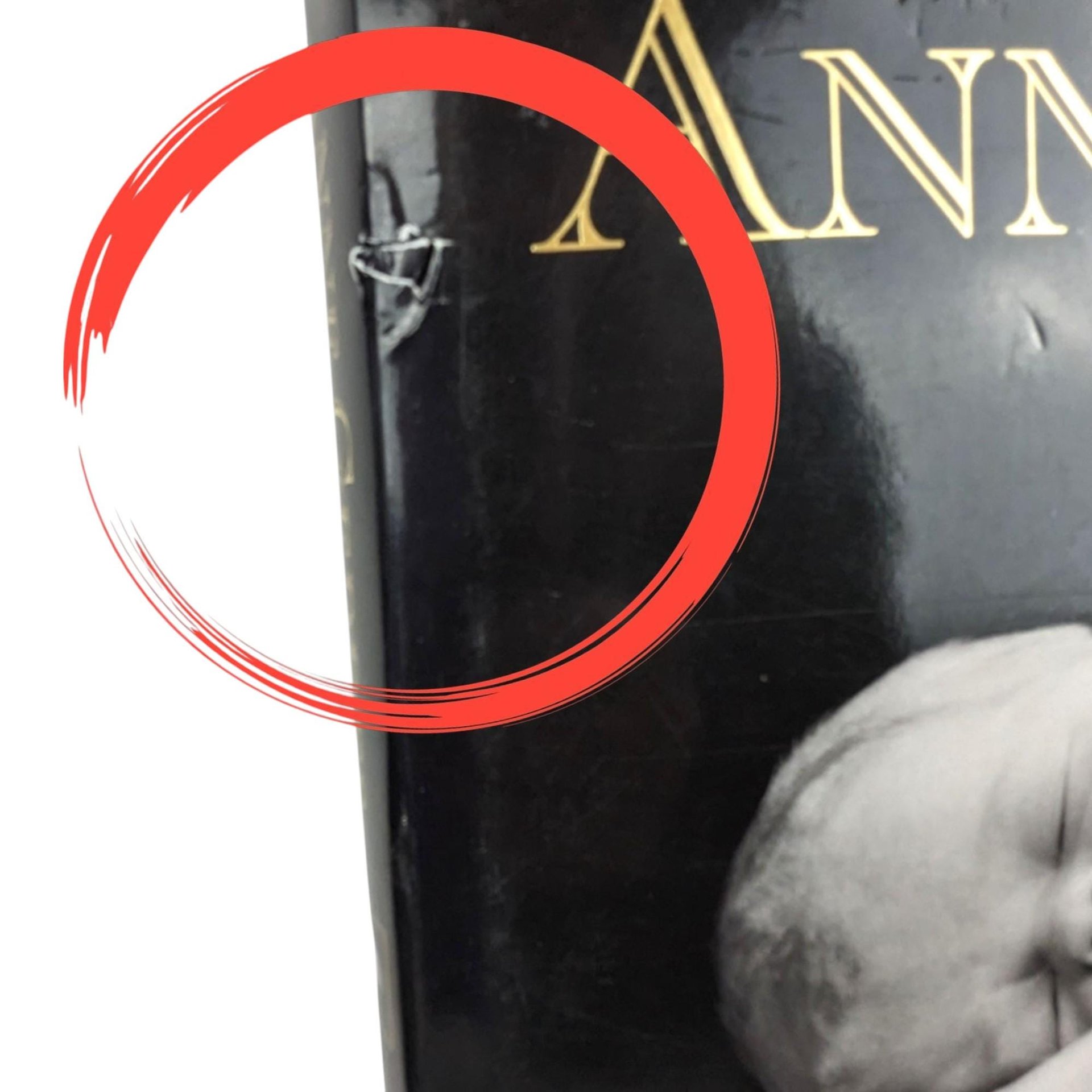 Anne Geddes Hardcover Photography Book Collection