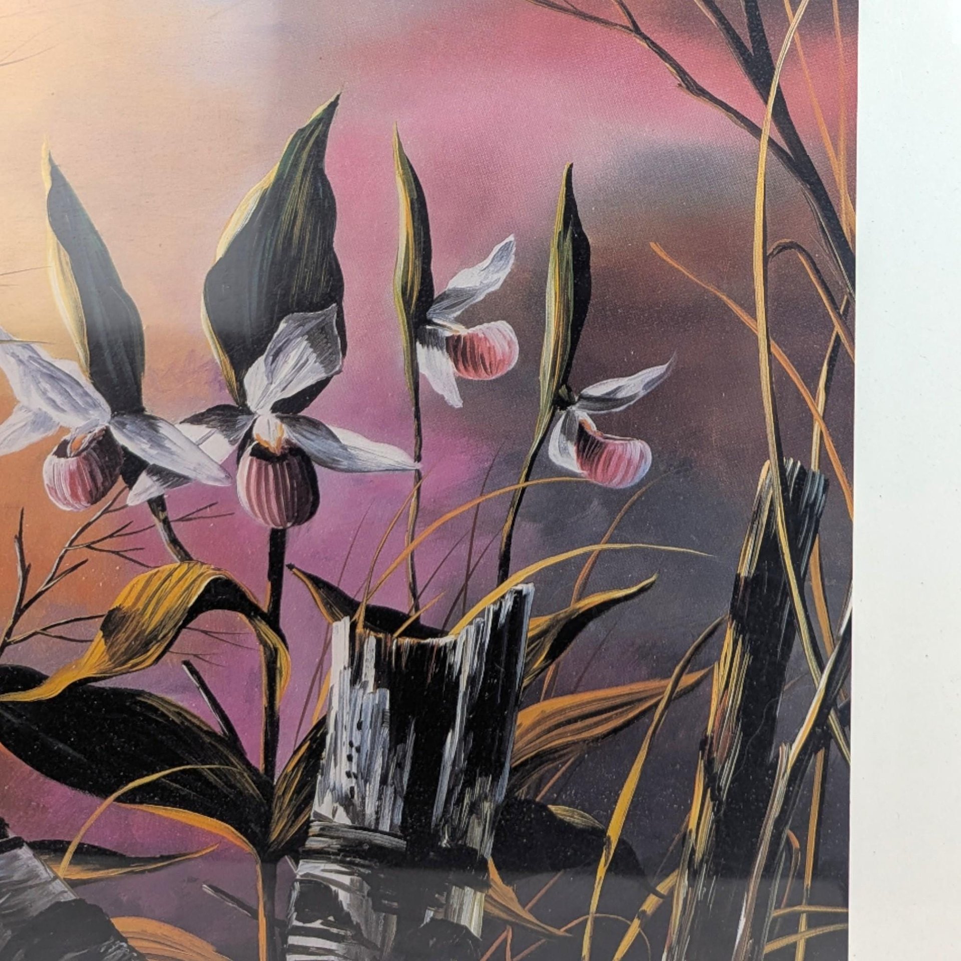 Vintage Dean Johnson Minnesota Memories Numbered Print