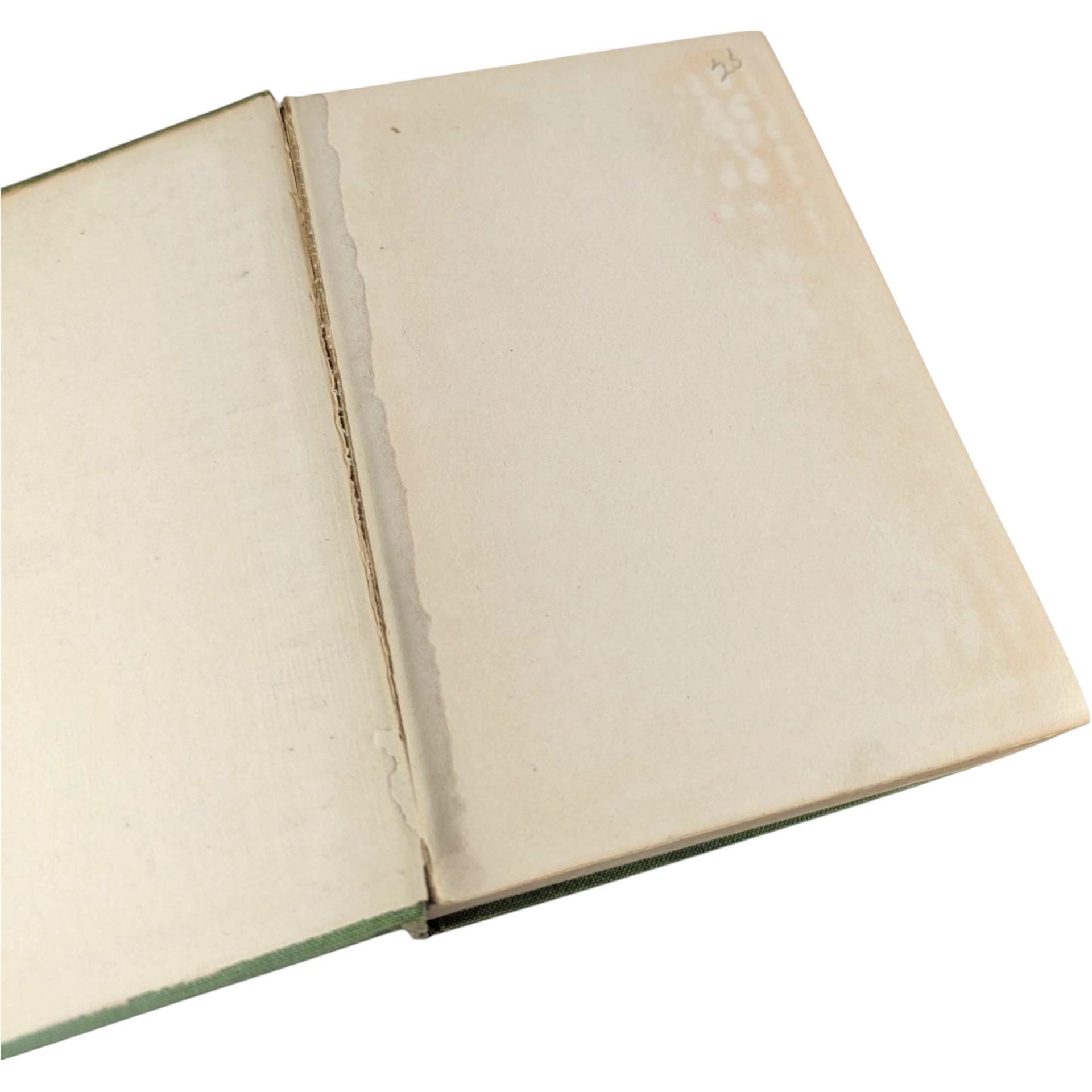 1918 Mary Roberts Rinehart 'The Amazing Interlude' Hardcover