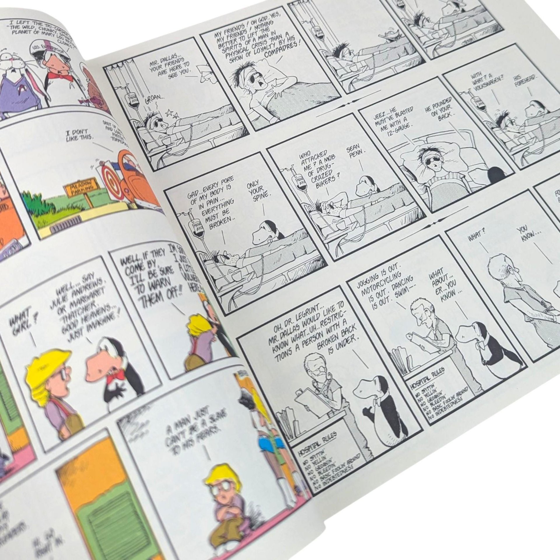 1987 Billy and the Boingers Bootleg, A Bloom County Book