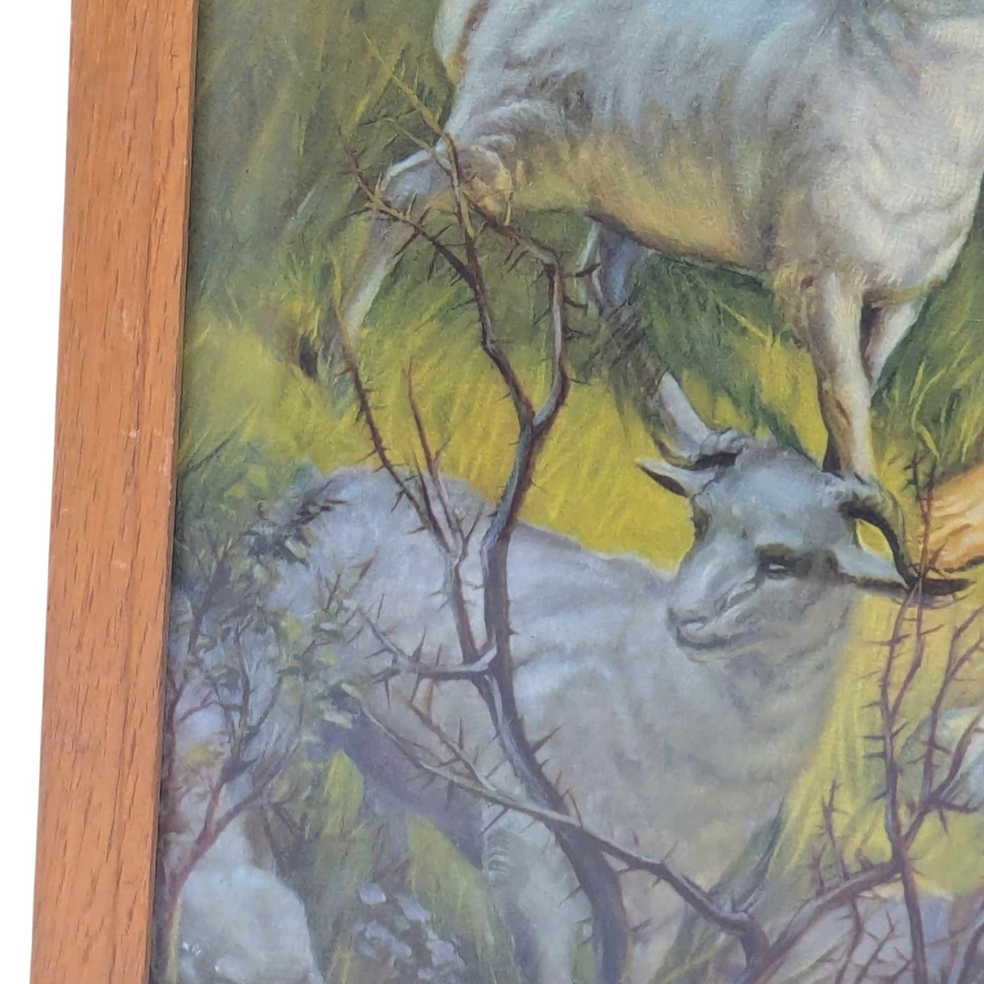 Vintage Framed Jesus the Good Shepherd Lithograph