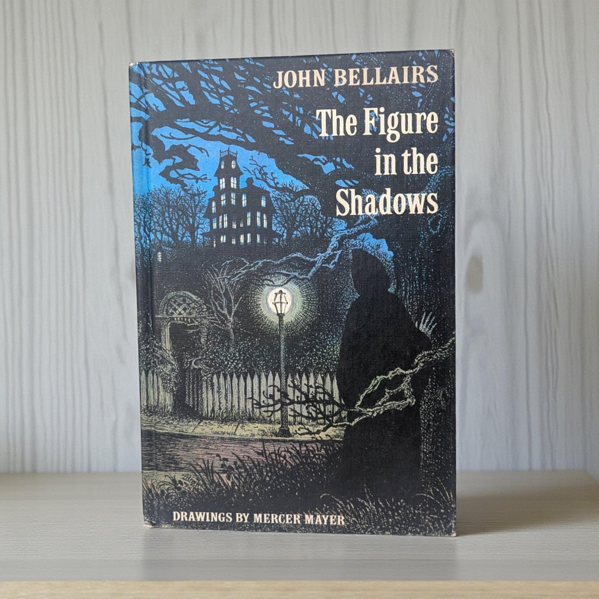A hardcover book with a pictorial cover featuring a detailed illustration of a young boy and a shadowy, hooded figure in a dark, atmospheric setting. The colors are muted with deep blues and blacks, and the title is printed in bold vintage typography.