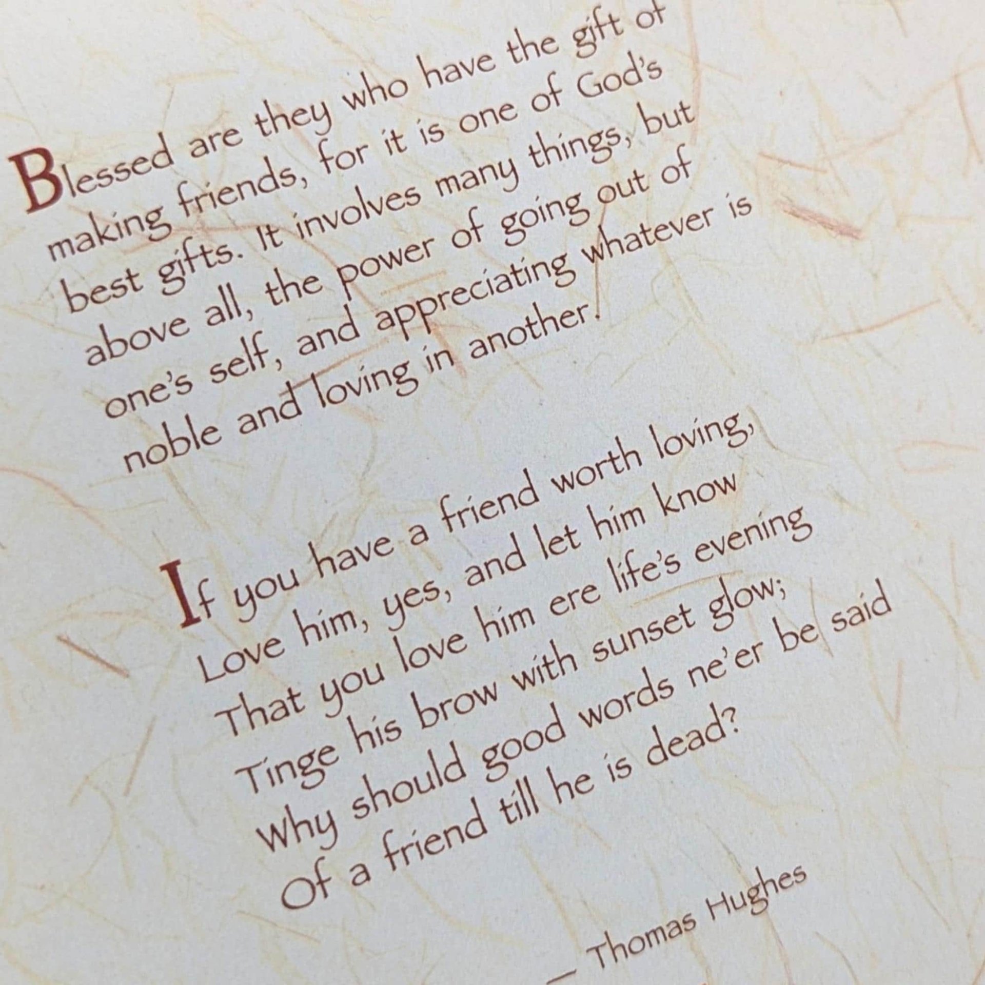 The Language of Friendship Hardcover