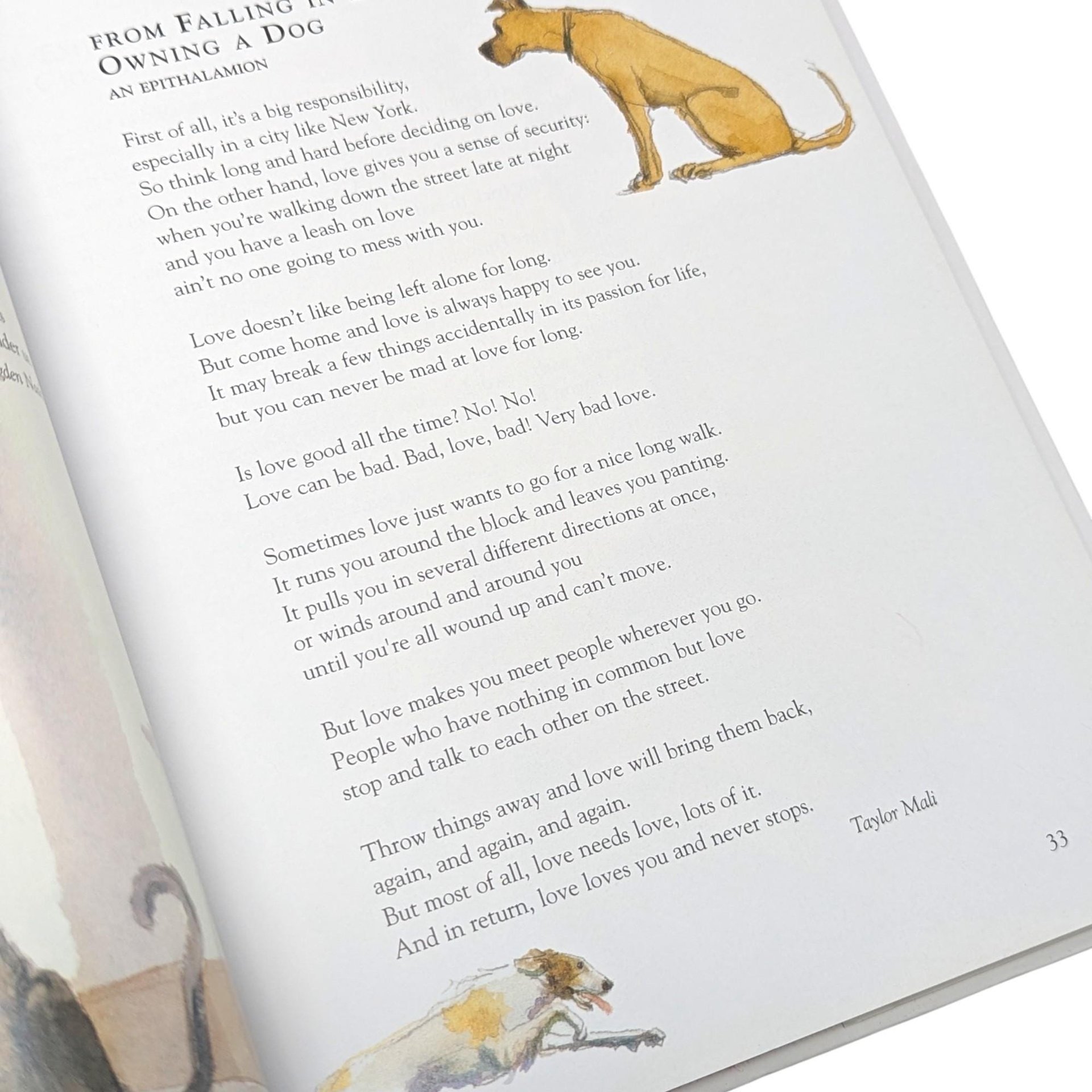 2005 A Family of Poems by Caroline Kennedy Hardcover Book