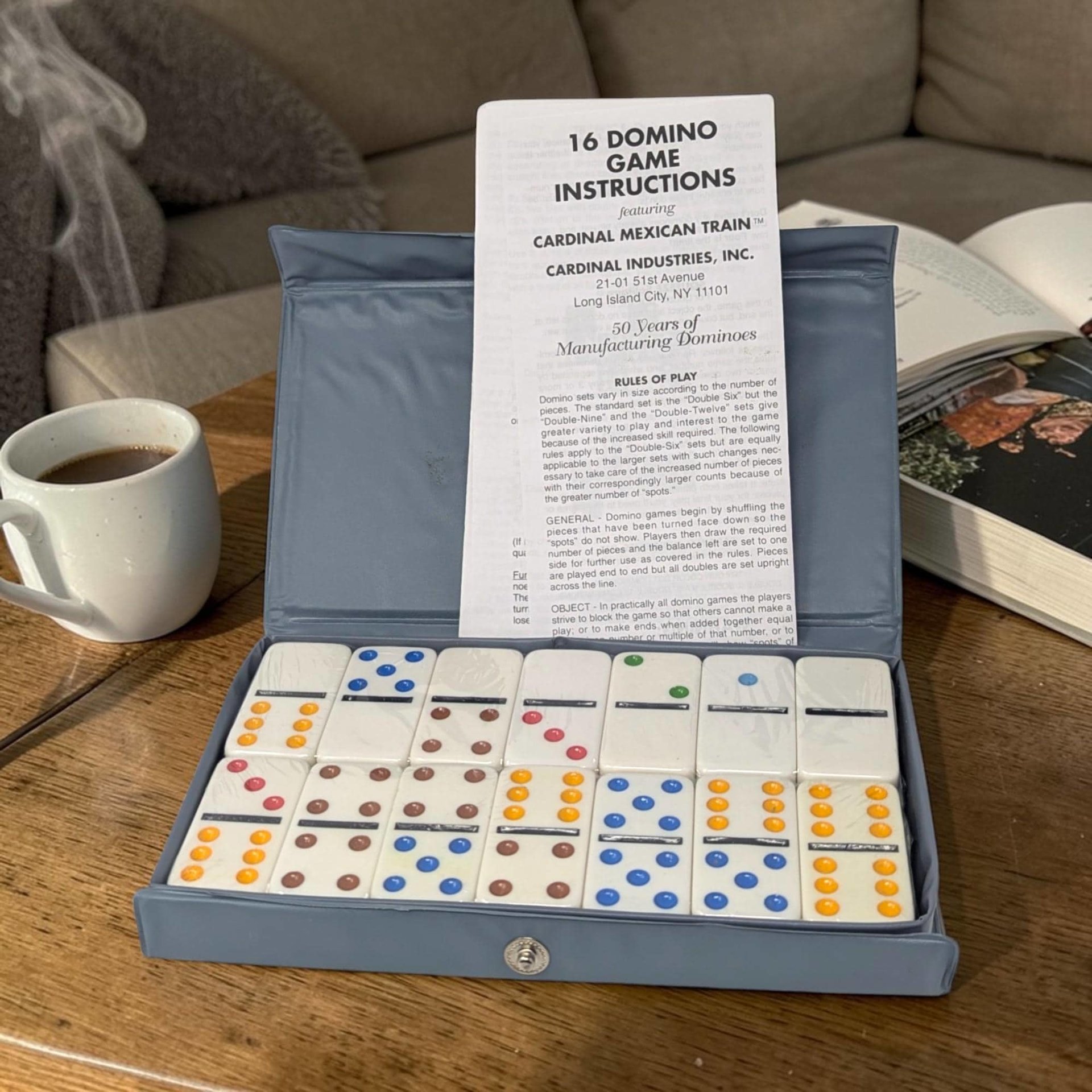 Classic blue vinyl carrying case with a snap closure containing a full set of white dominoes. The individual game pieces remain sealed in their original factory shrink-wrap. The exterior case features a subtle textured finish.