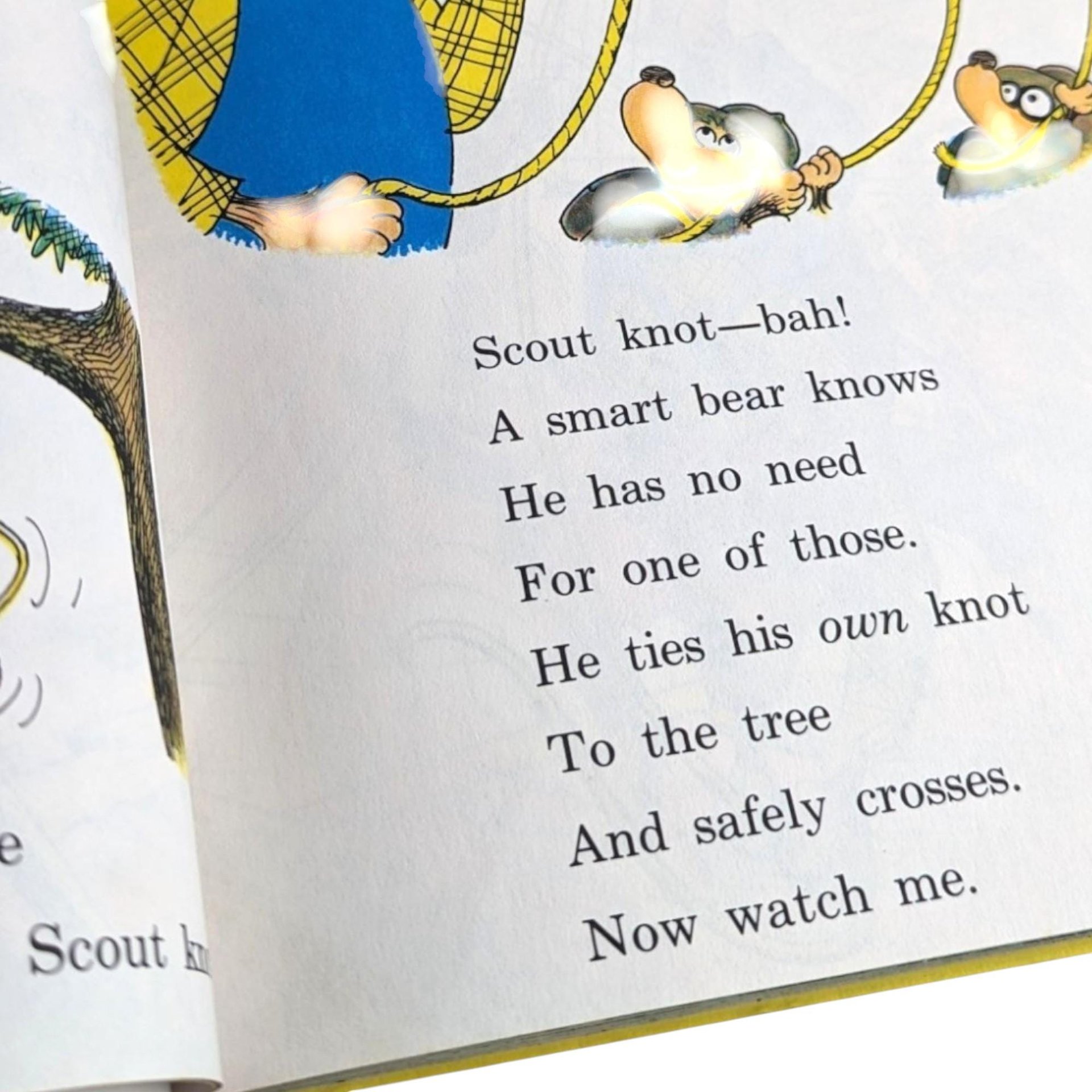 1960s Berenstain Bears Early Learning Hardcover Book Set – Vintage Children's Books