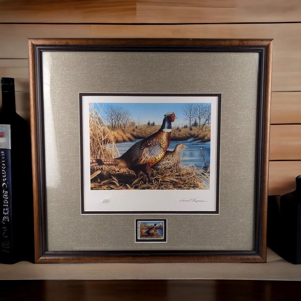 Vintage 1992 Minnesota Pheasant Habitat Stamp Print 10th Anniversary, Framed, Signed David Chapman, Wildlife Art, Hunting Decor