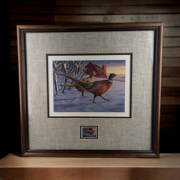 Vintage 1989 Minnesota Pheasant Habitat Stamp Print Framed, Signed David Chapman, Wildlife Art, Hunting Decor, Cabin Decor