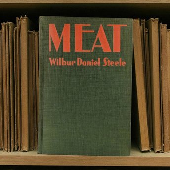 1928 "Meat" Hardcover Book by Wilbur Daniel Steele, Grosset & Dunlap, Collectible Book, Vintage Literature, Literary Gift