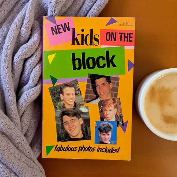 New Kids on the Block by Anne M. Raso (1989)