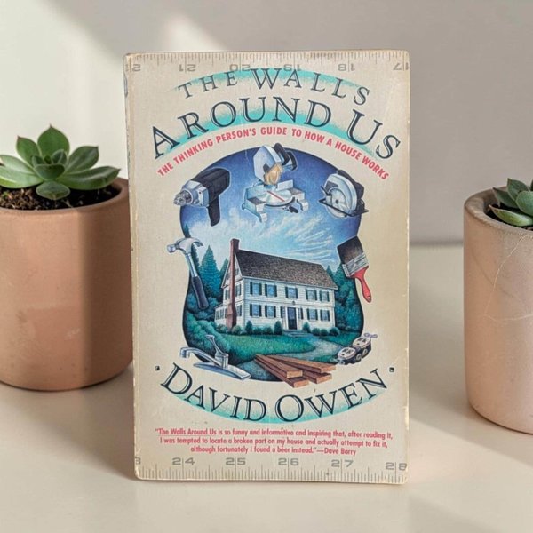 1992 The Walls Around Us by David Owen